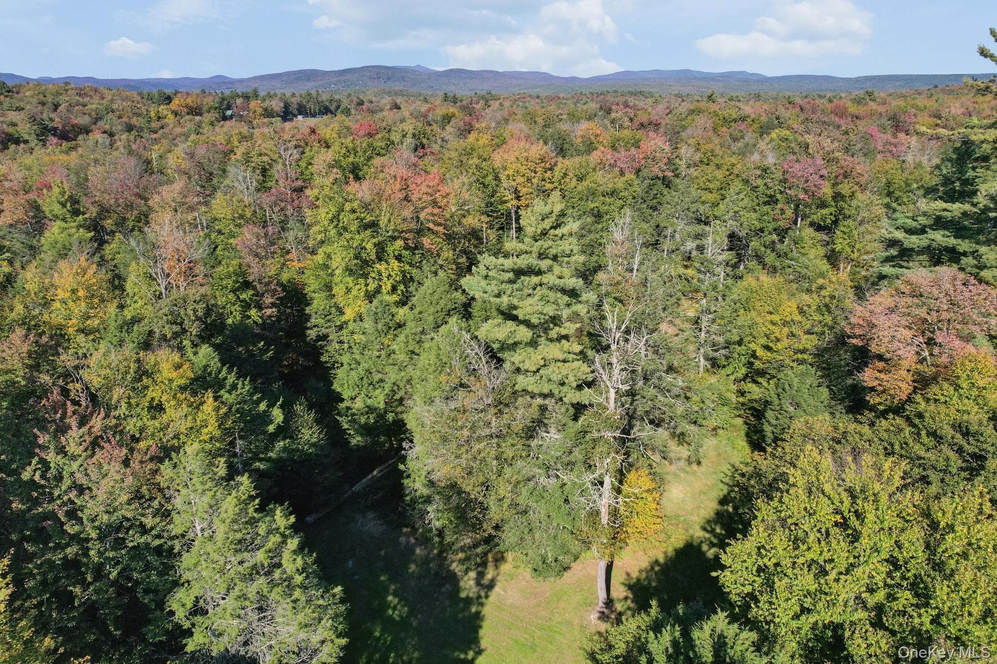 118 Weiser Road thumbnail 10
