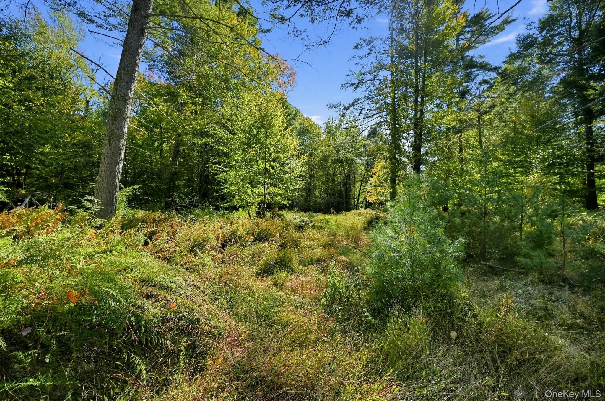 118 Weiser Road thumbnail 4