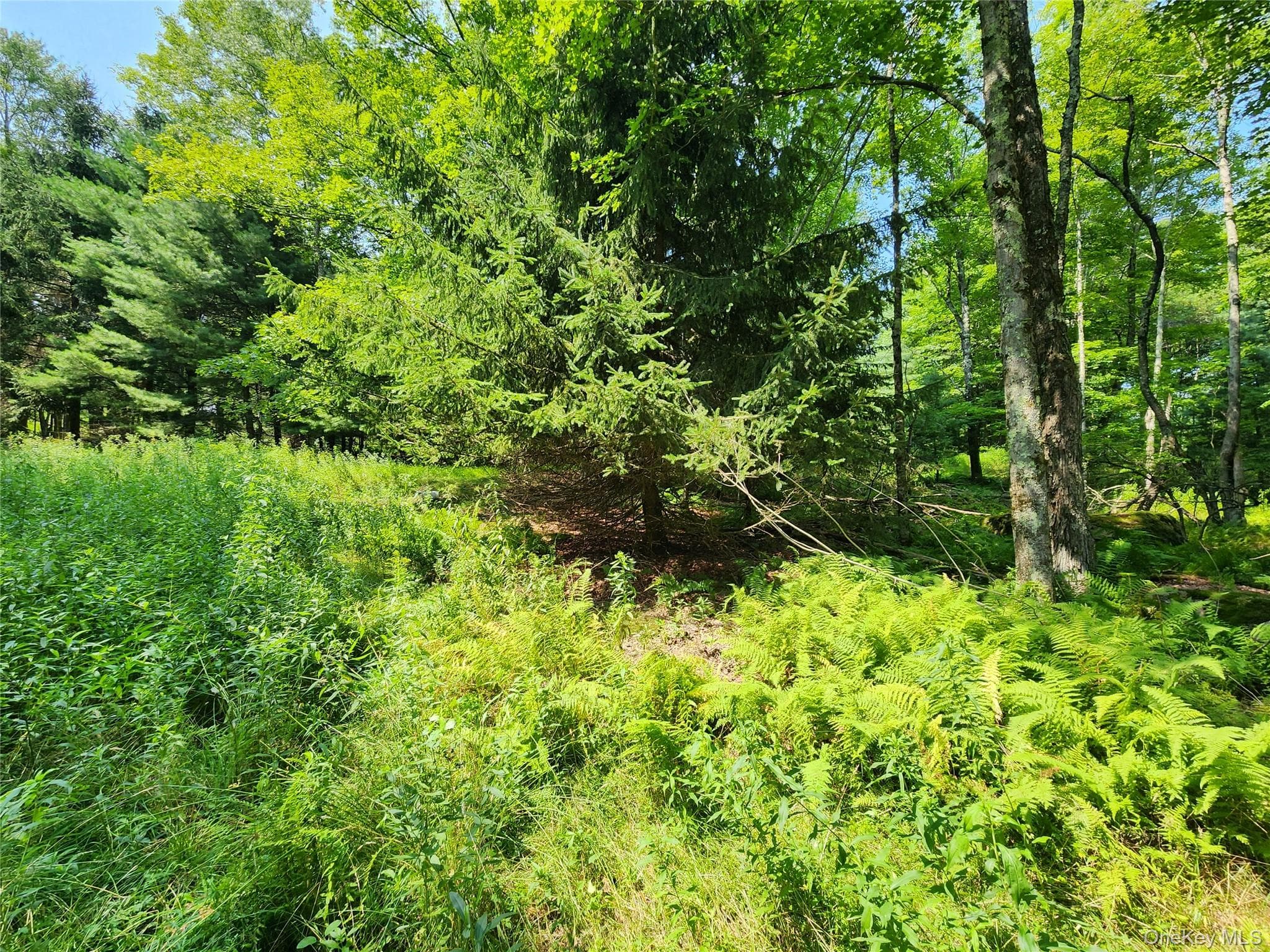 Soule Road thumbnail 12