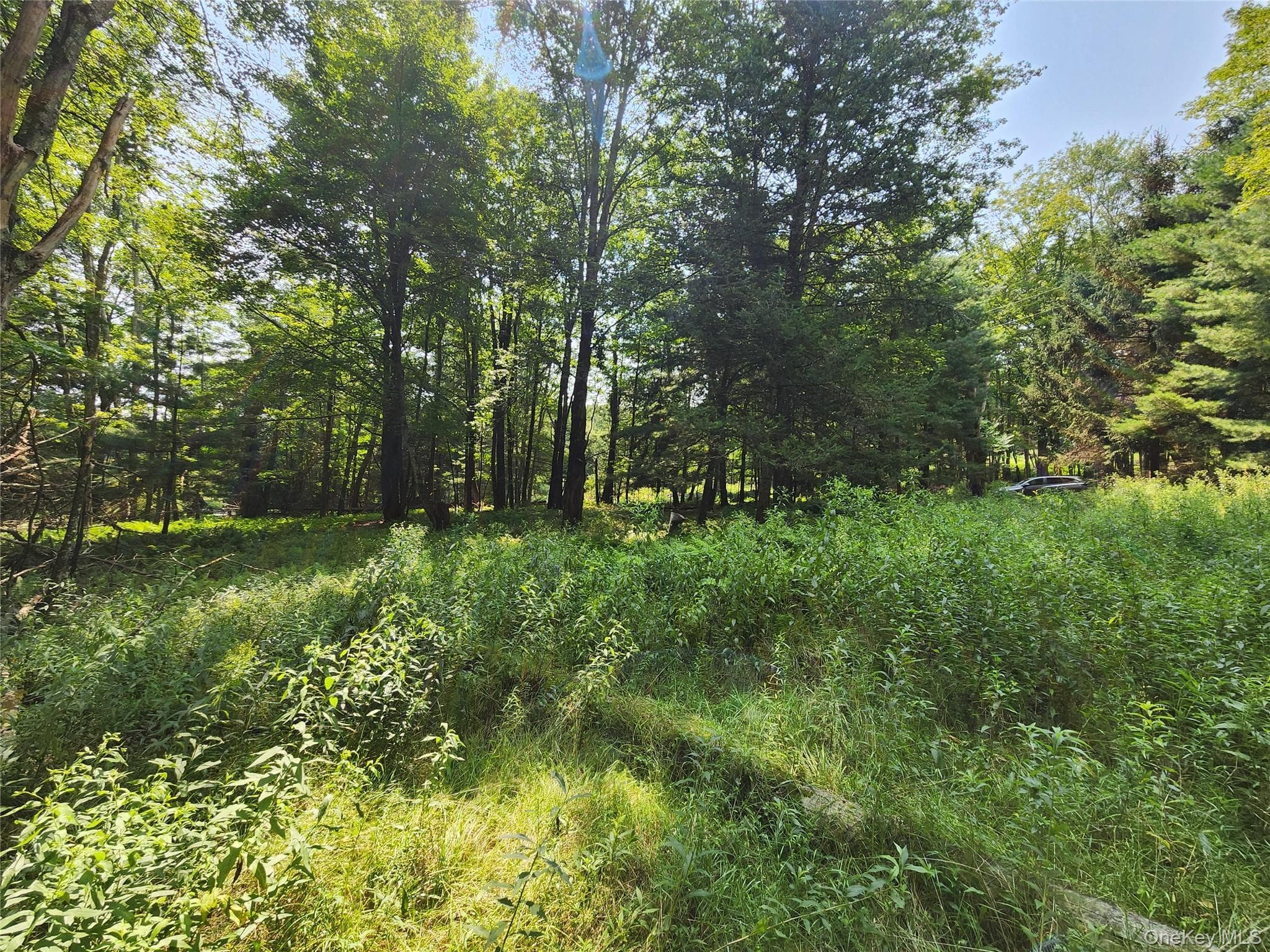 Soule Road thumbnail 14