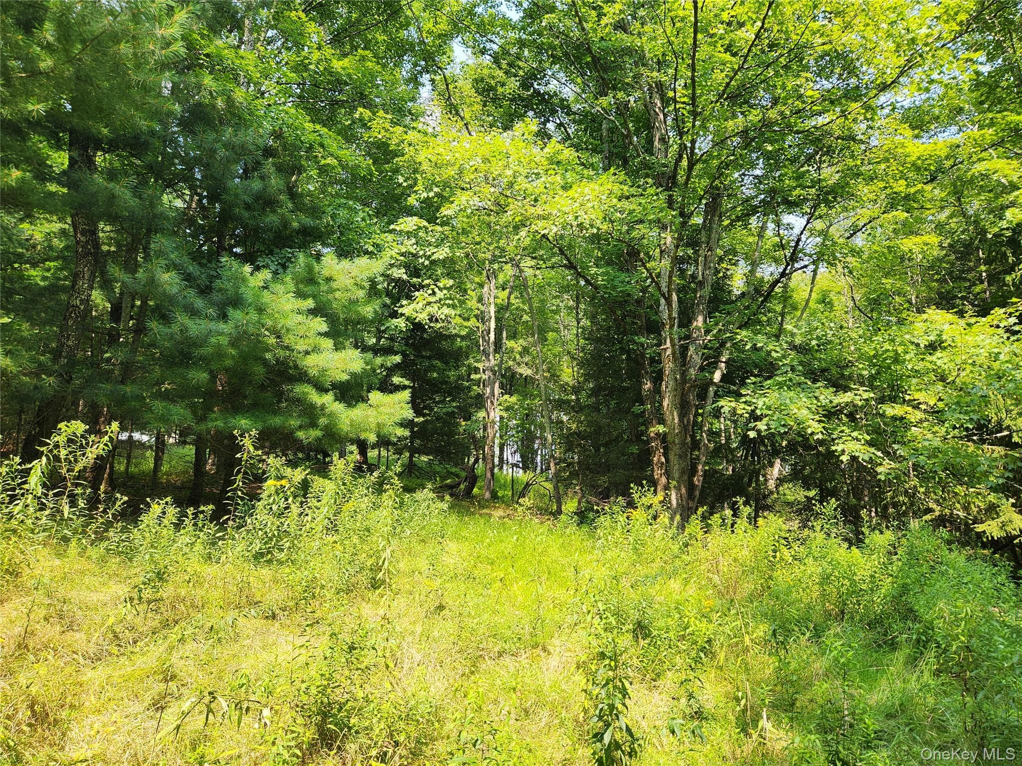Soule Road thumbnail 9