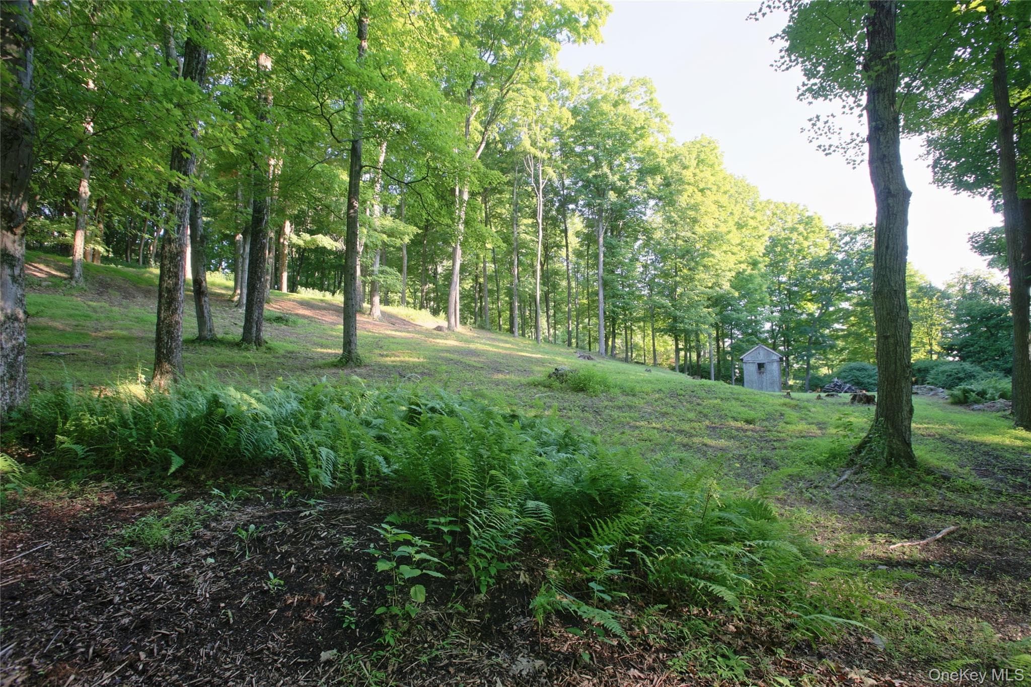 Pond Road thumbnail 8