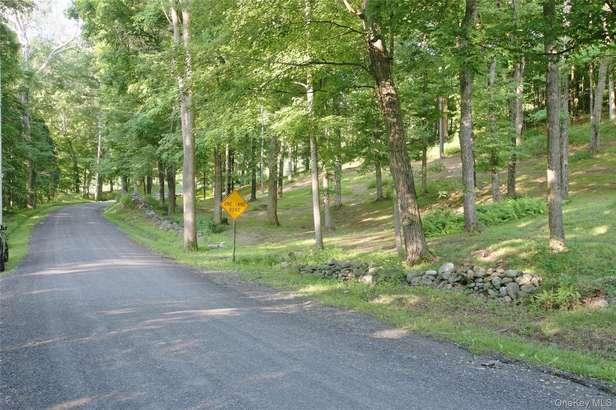 Pond Road thumbnail 5
