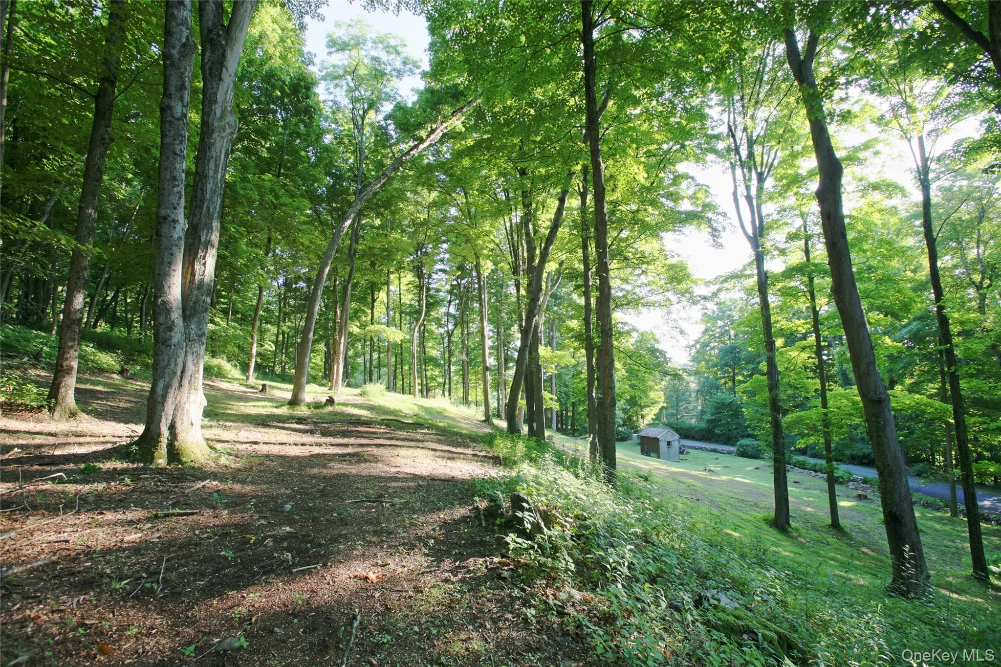 Pond Road thumbnail 16