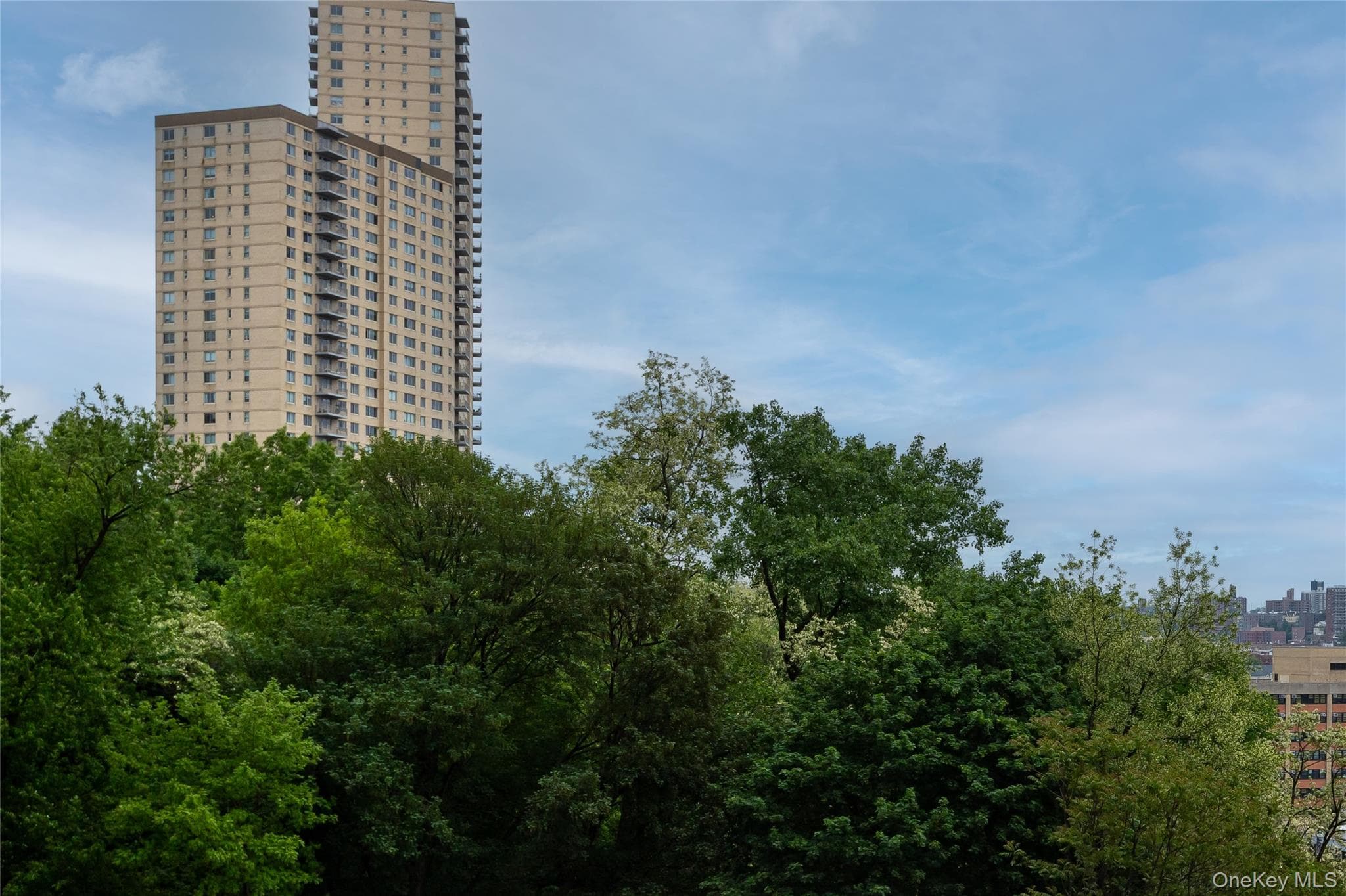 2500 Johnson Avenue Unit: 3B thumbnail 20