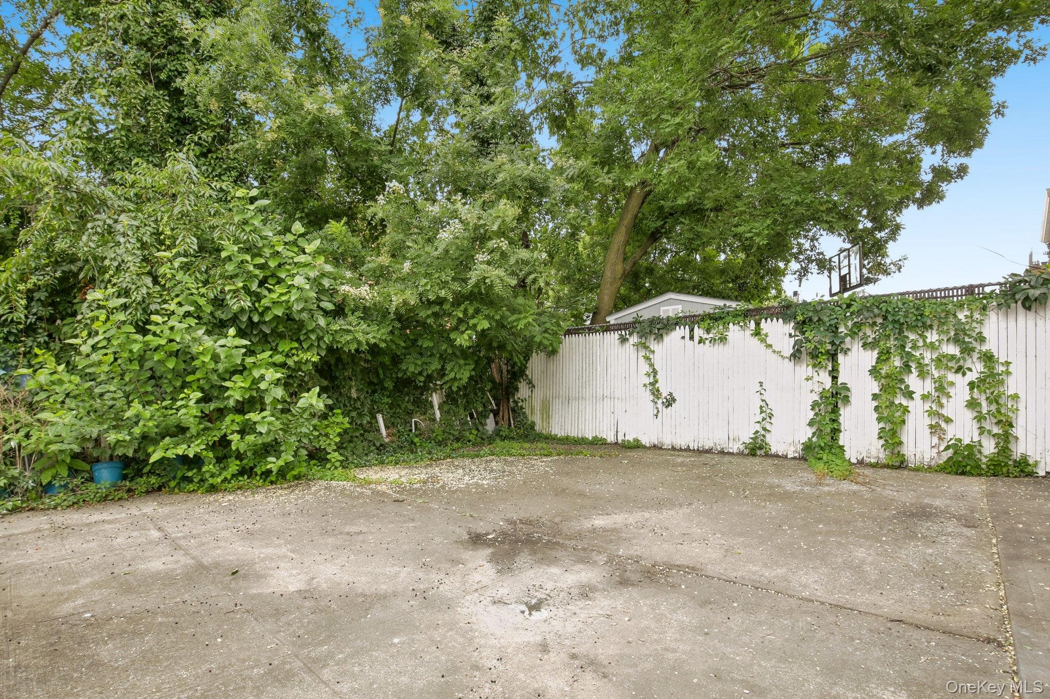 941 Crescent Street thumbnail 15
