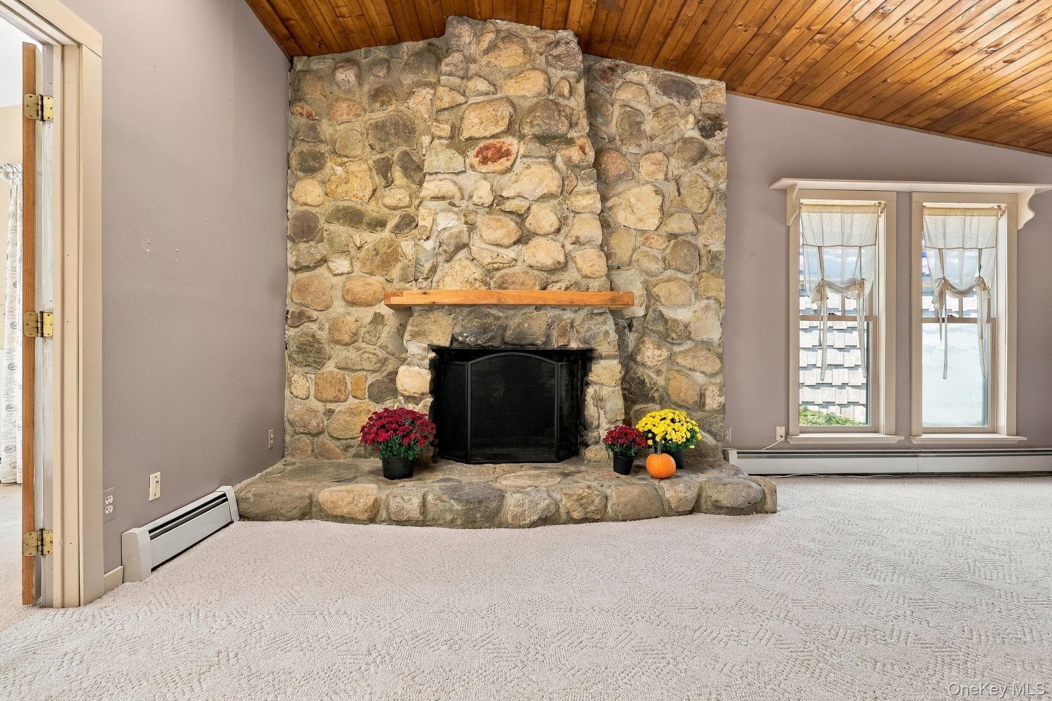 155 Birchwood Drive thumbnail 22