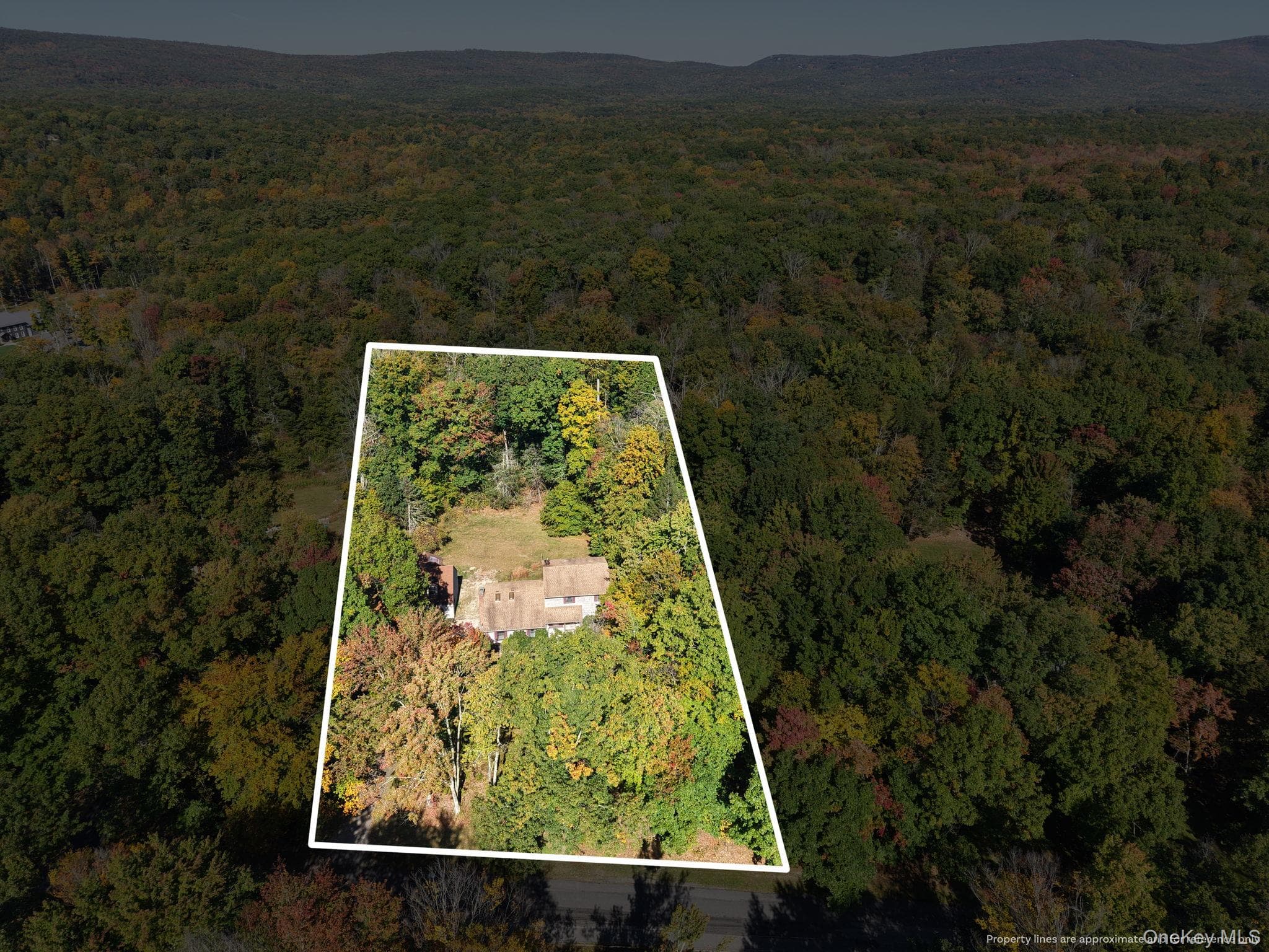 155 Birchwood Drive thumbnail 3