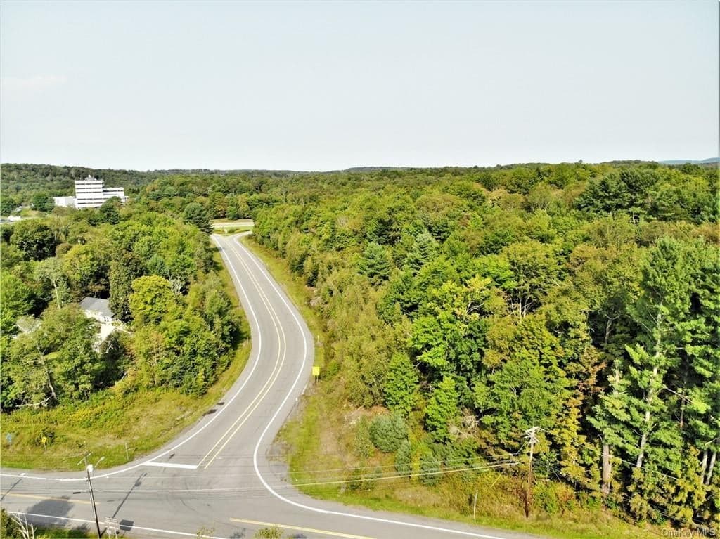 Nys Rt 17 And Old Rt 17 thumbnail 4