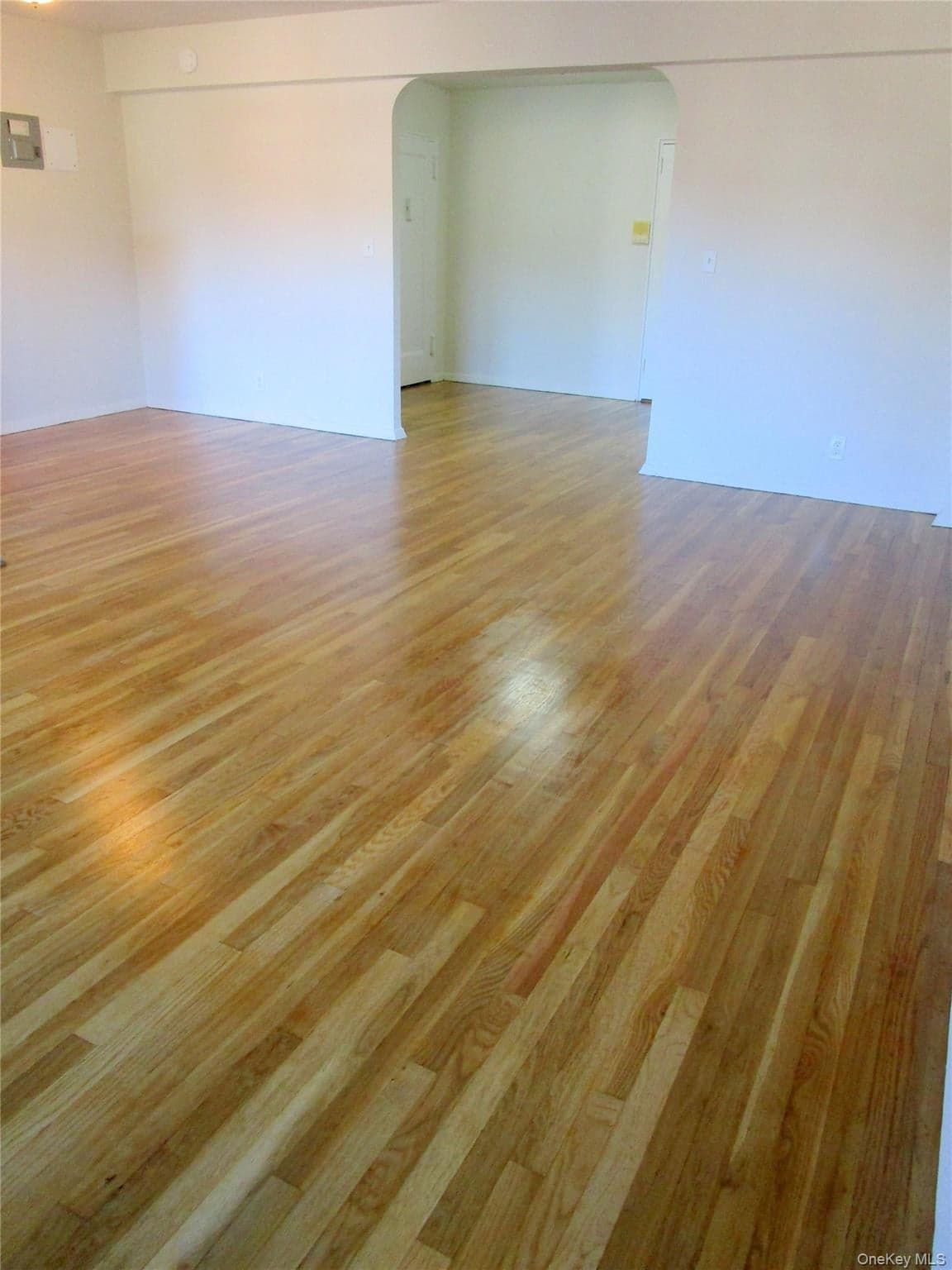 585 Mclean Avenue Unit: 2A thumbnail 13