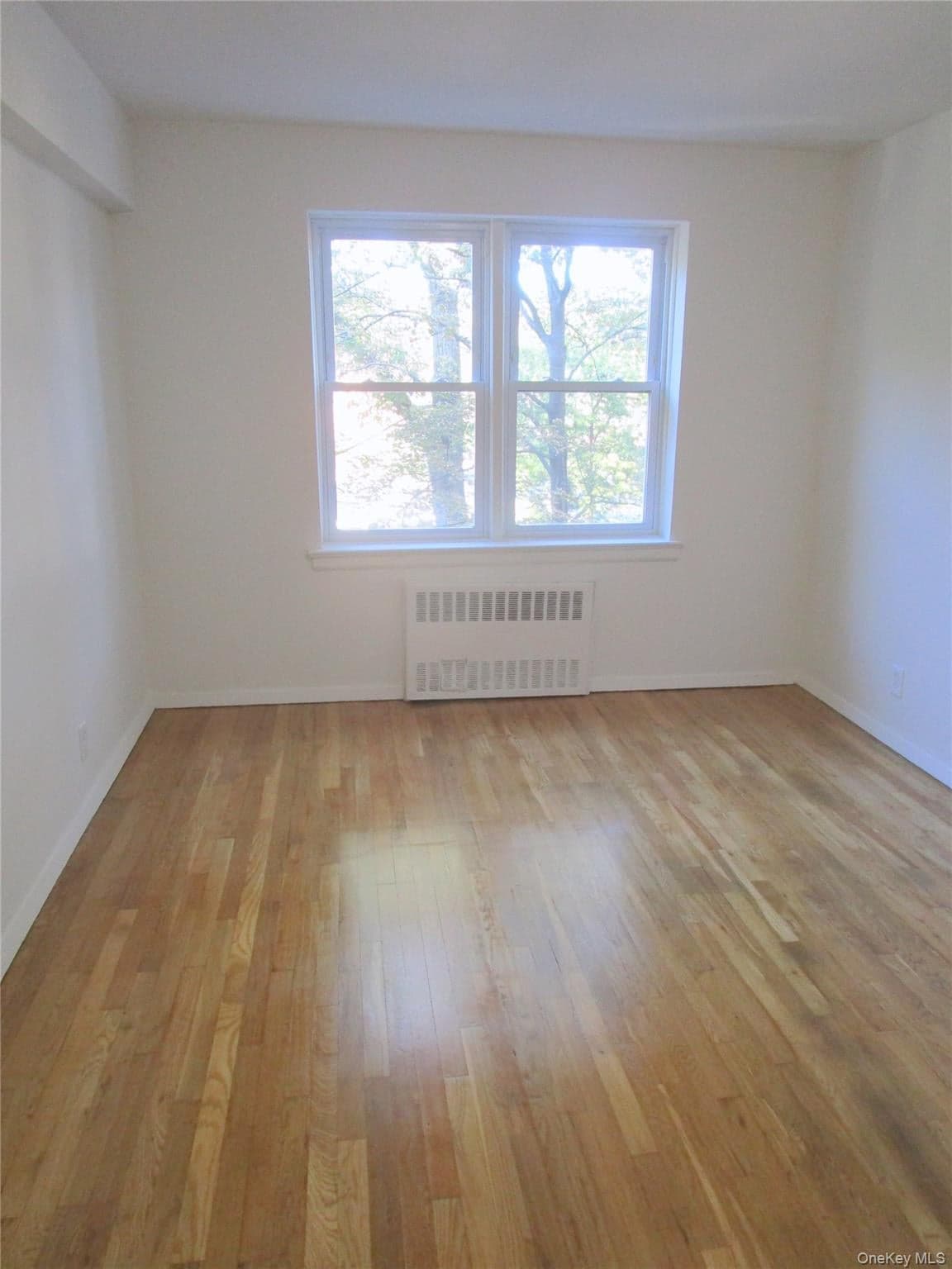 585 Mclean Avenue Unit: 2A thumbnail 24
