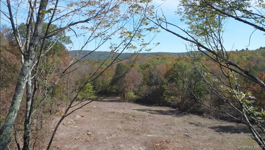 TBD W Hill Road thumbnail 4