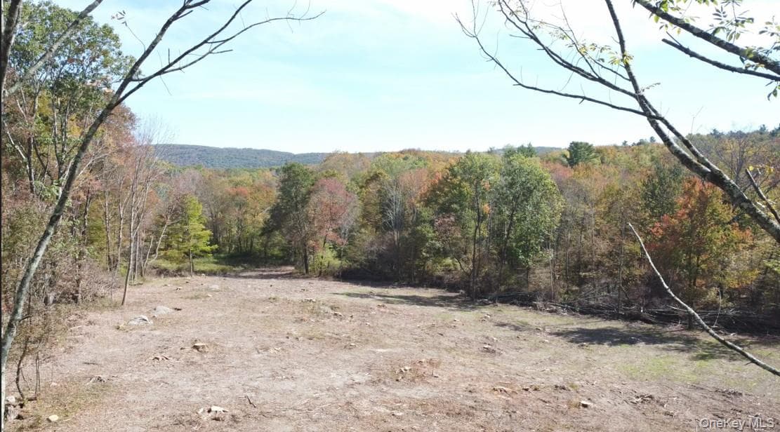 TBD W Hill Road thumbnail 2