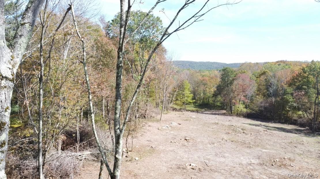 TBD W Hill Road thumbnail 3