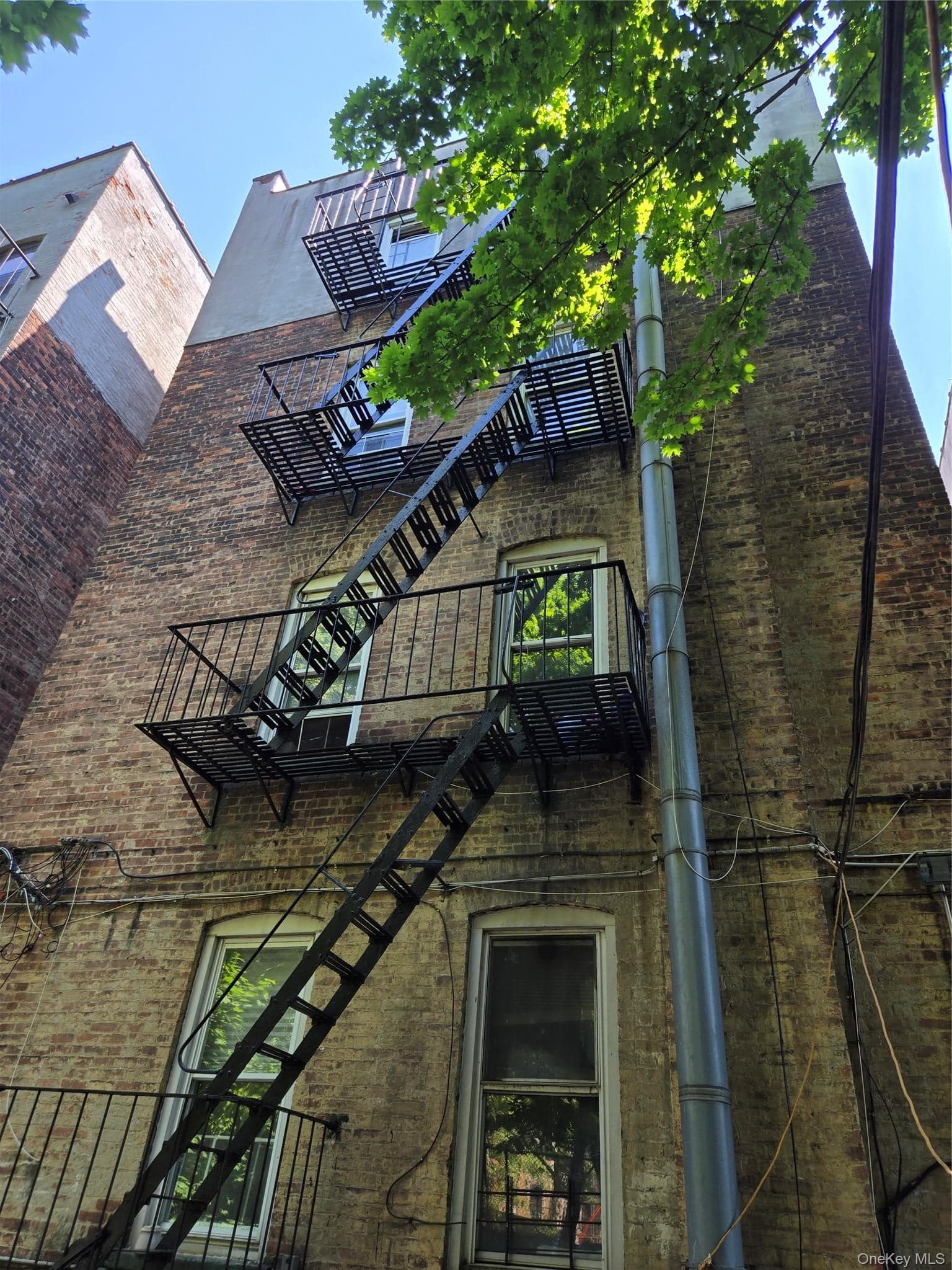 689 & 693 Beck Street thumbnail 19