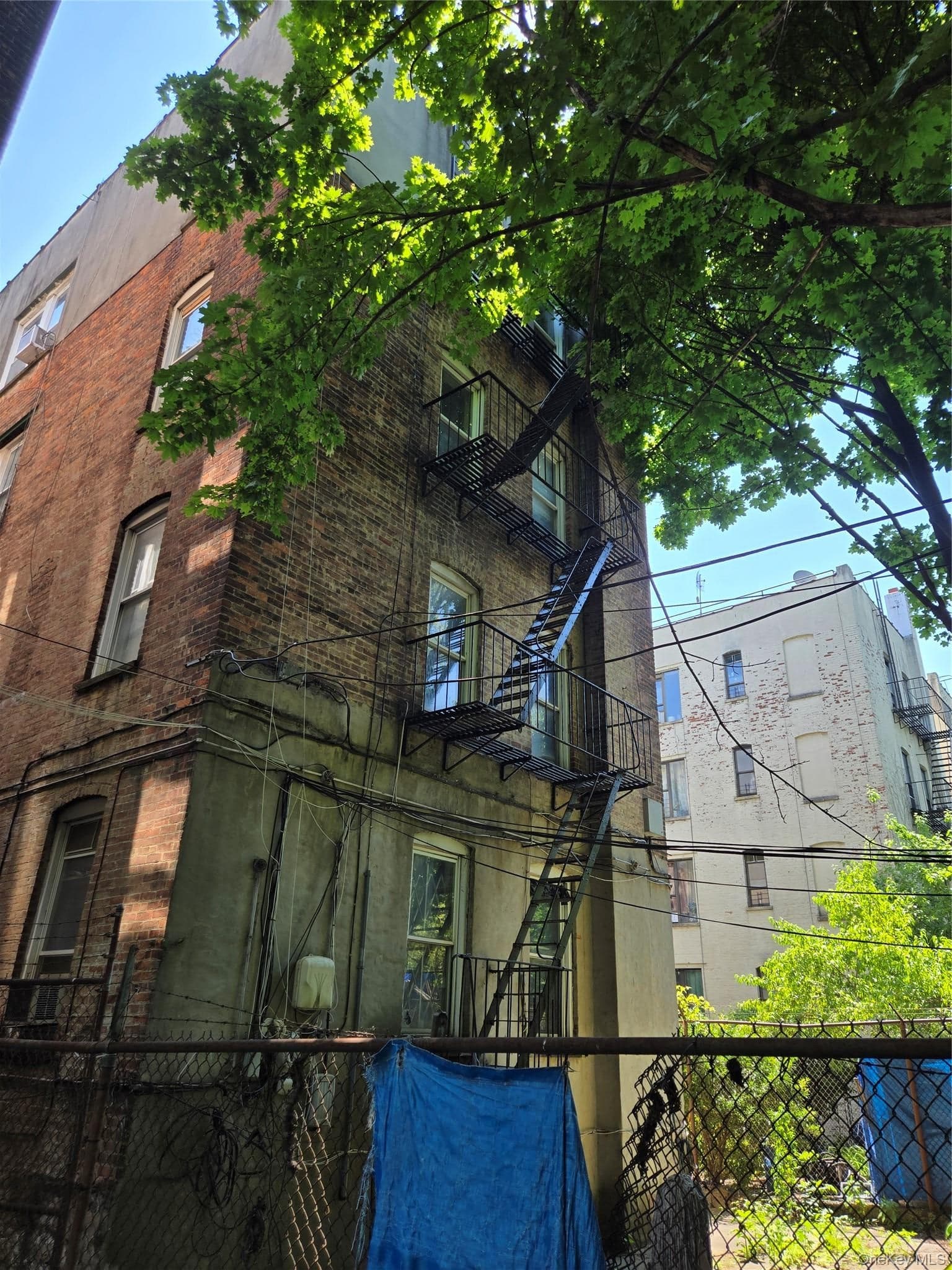 689 & 693 Beck Street thumbnail 20