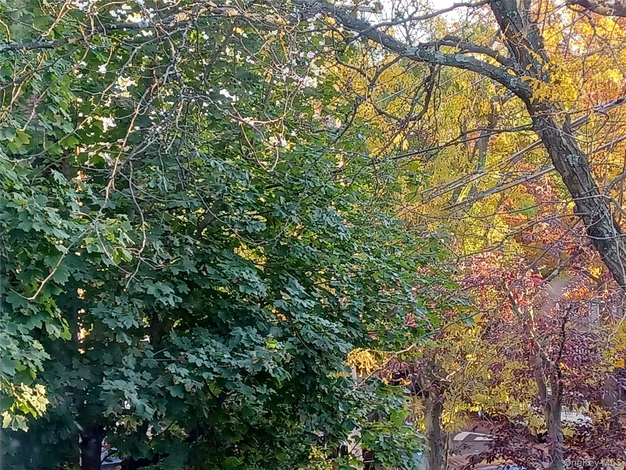 1774 Pitman Avenue thumbnail 30