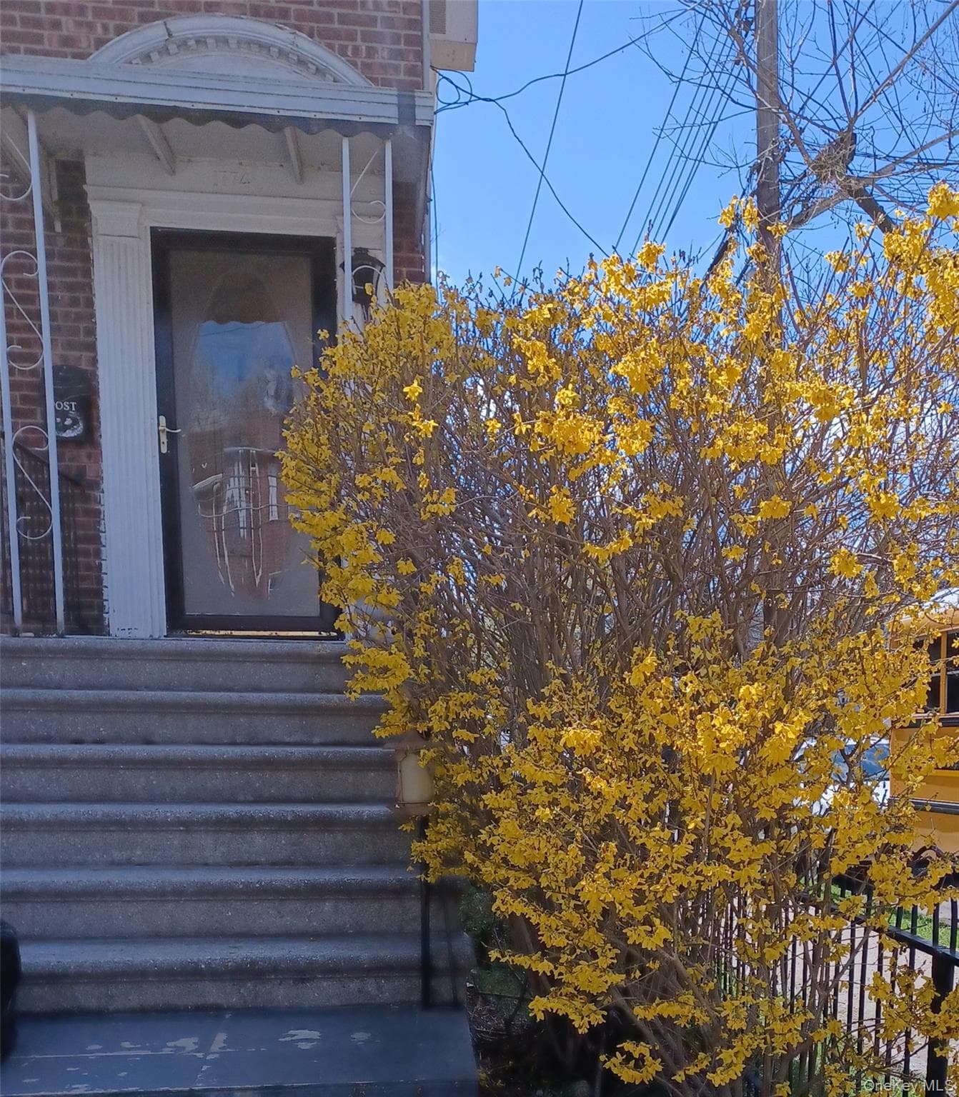 1774 Pitman Avenue thumbnail 4