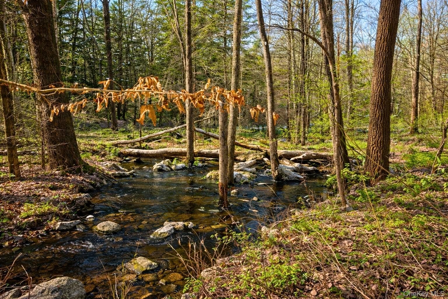 40 Potic Creek Road thumbnail 6