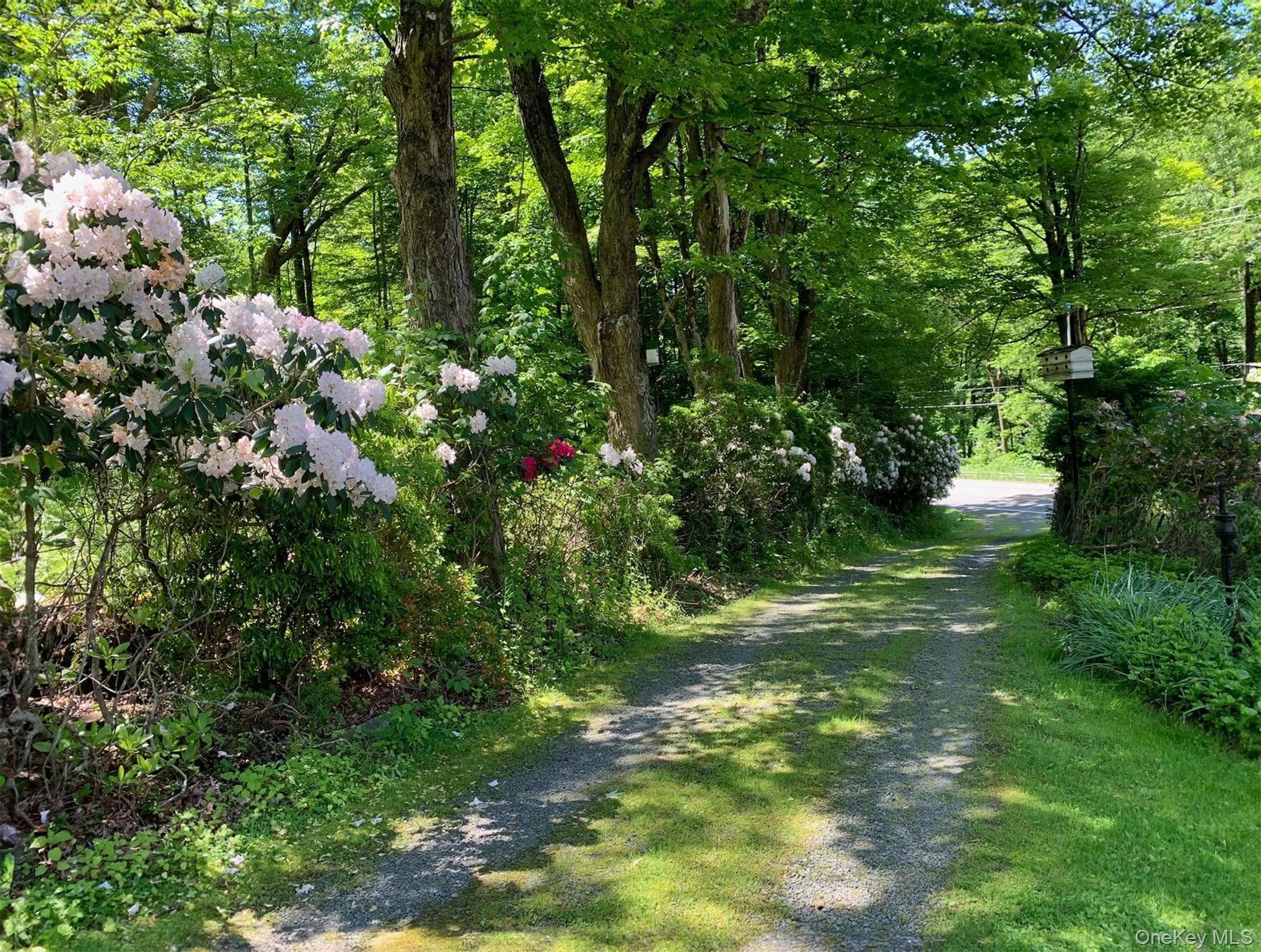 2182 County Road 17 thumbnail 15