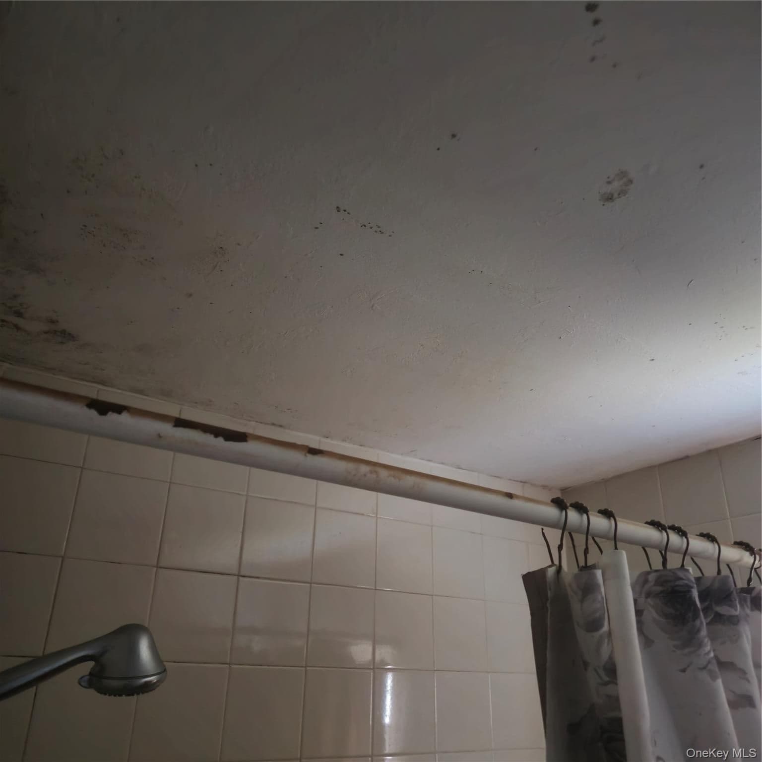 73 Lonergan Drive thumbnail 26