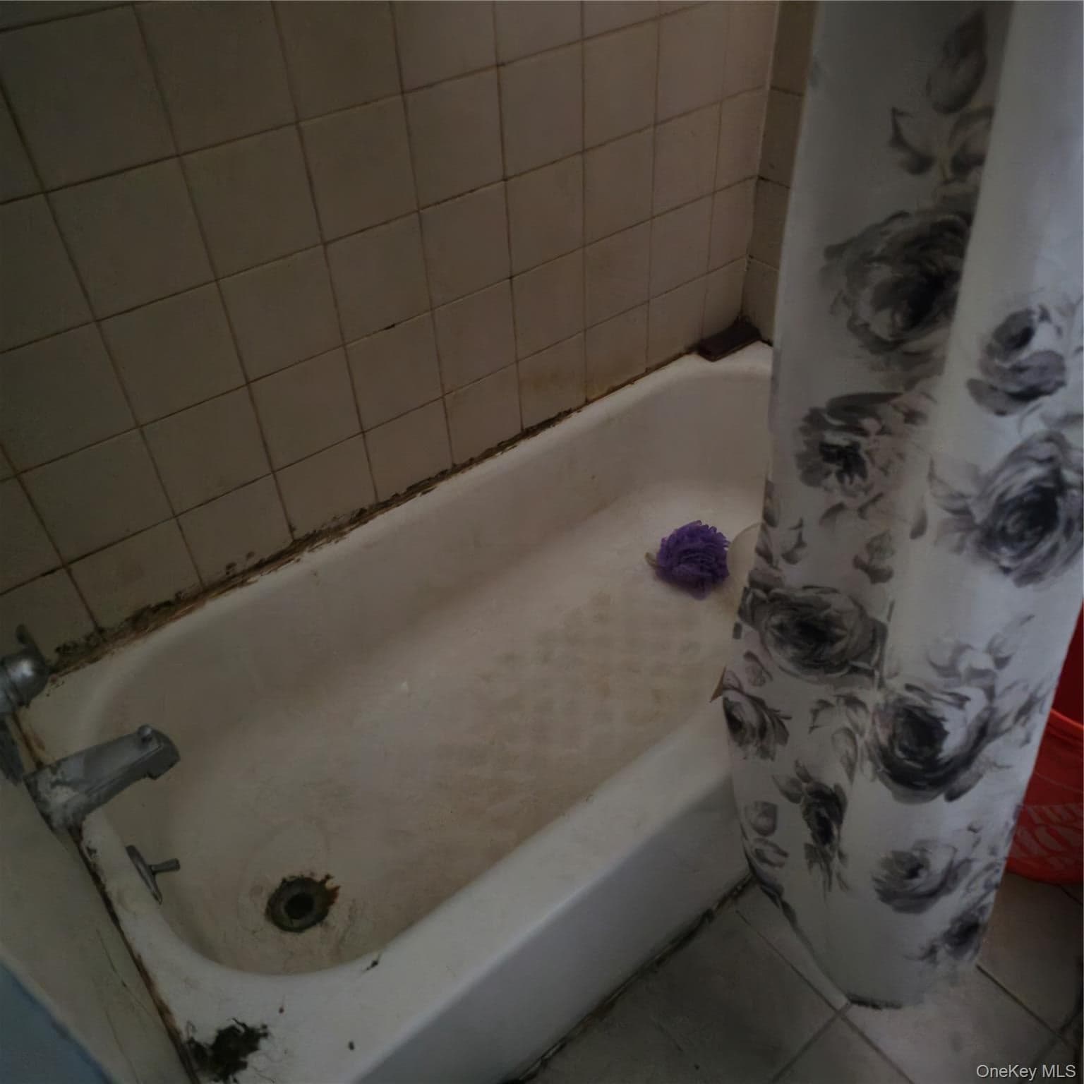 73 Lonergan Drive thumbnail 29