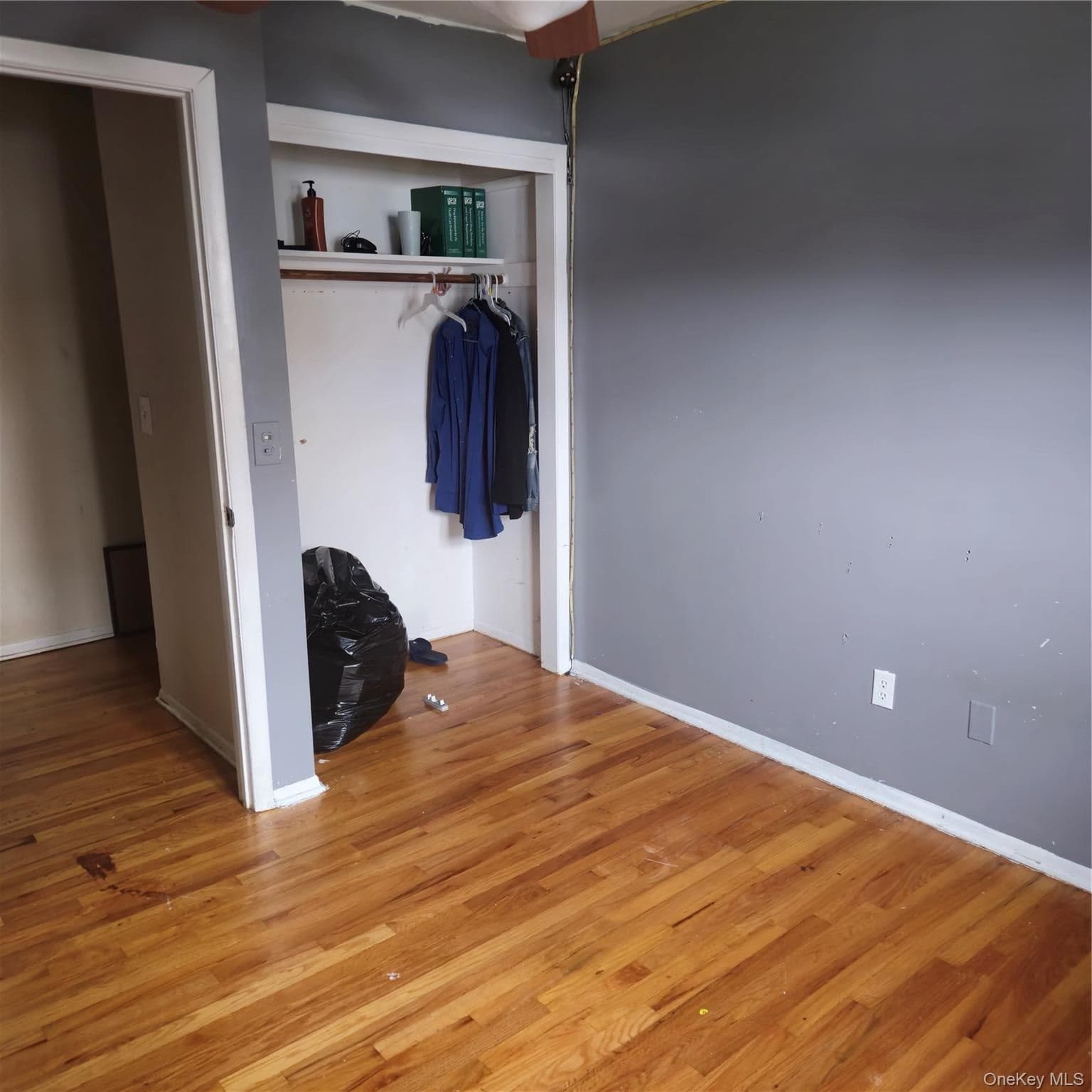 73 Lonergan Drive thumbnail 19