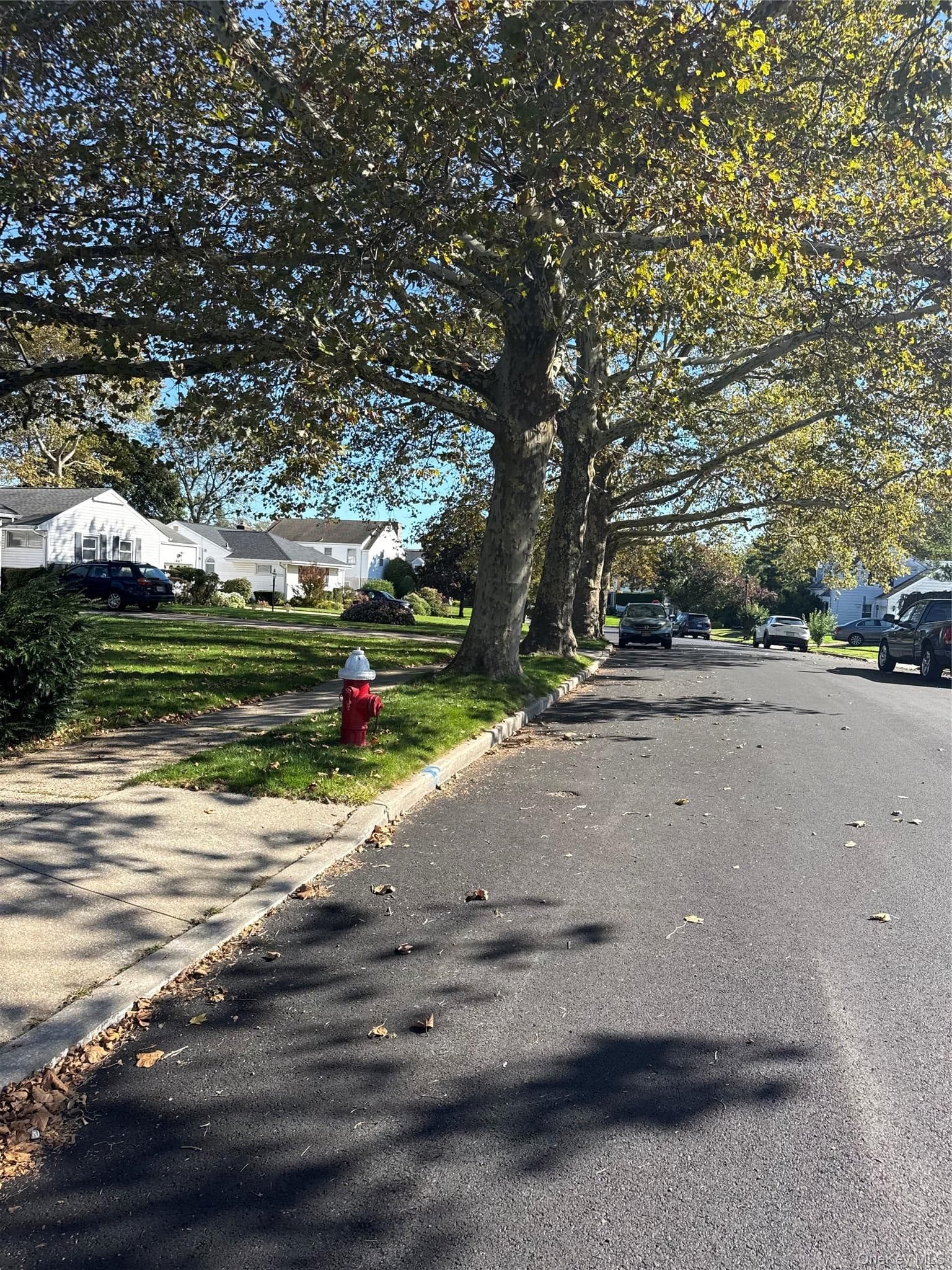 435 Derby Road thumbnail 4