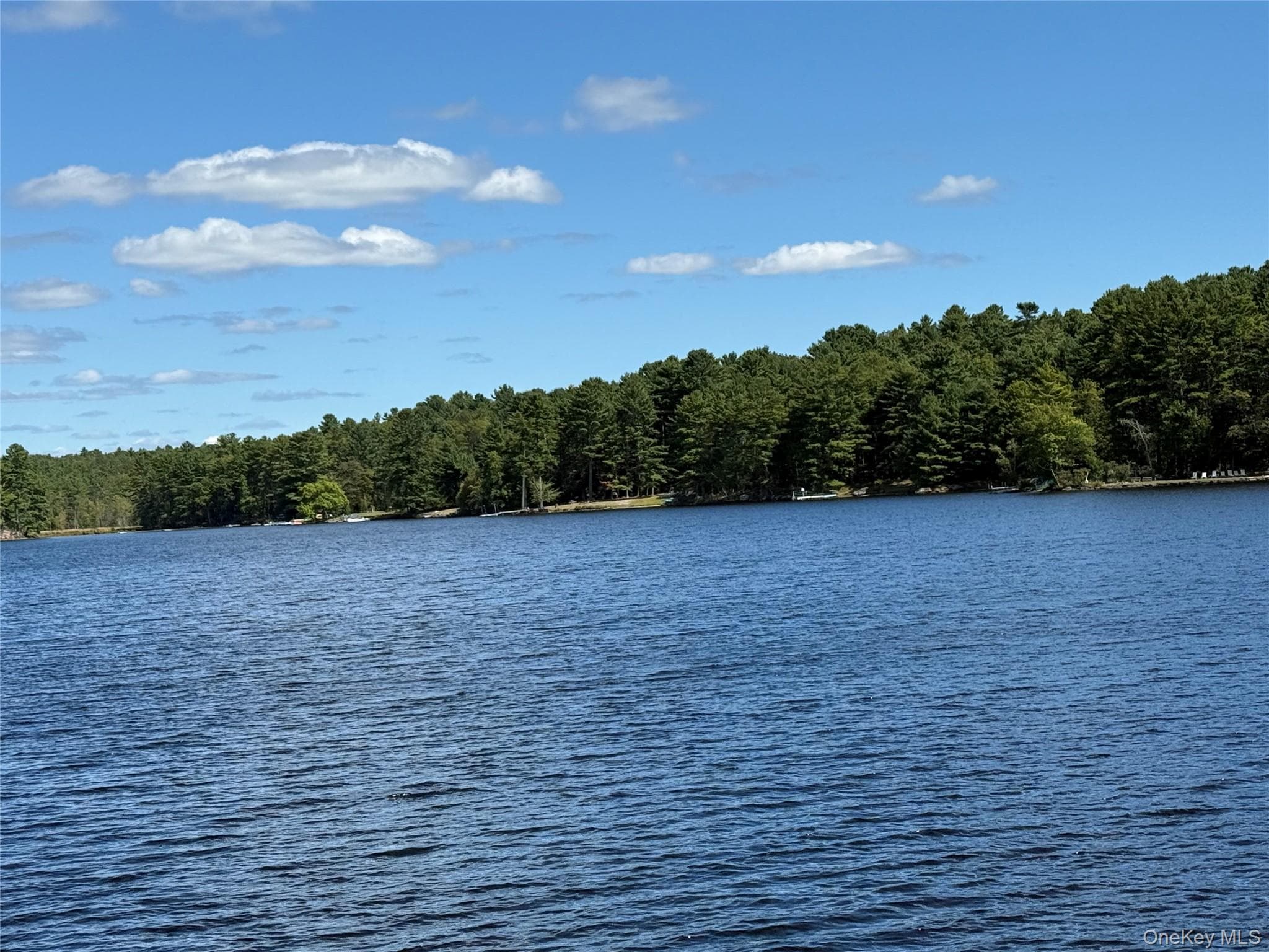 35 Oneida Trail thumbnail 4