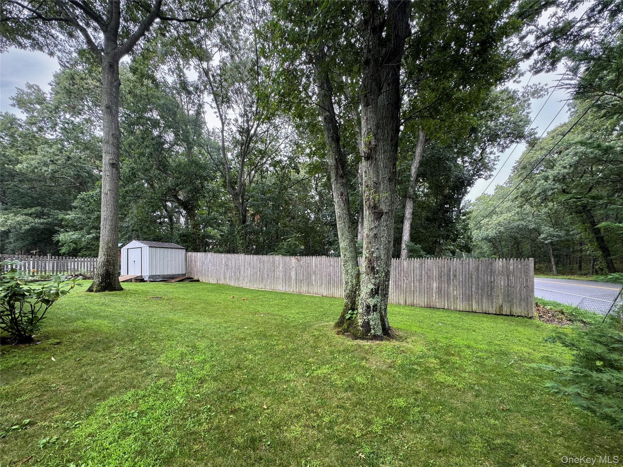 1800 Osborn Avenue Unit: 1E thumbnail 3