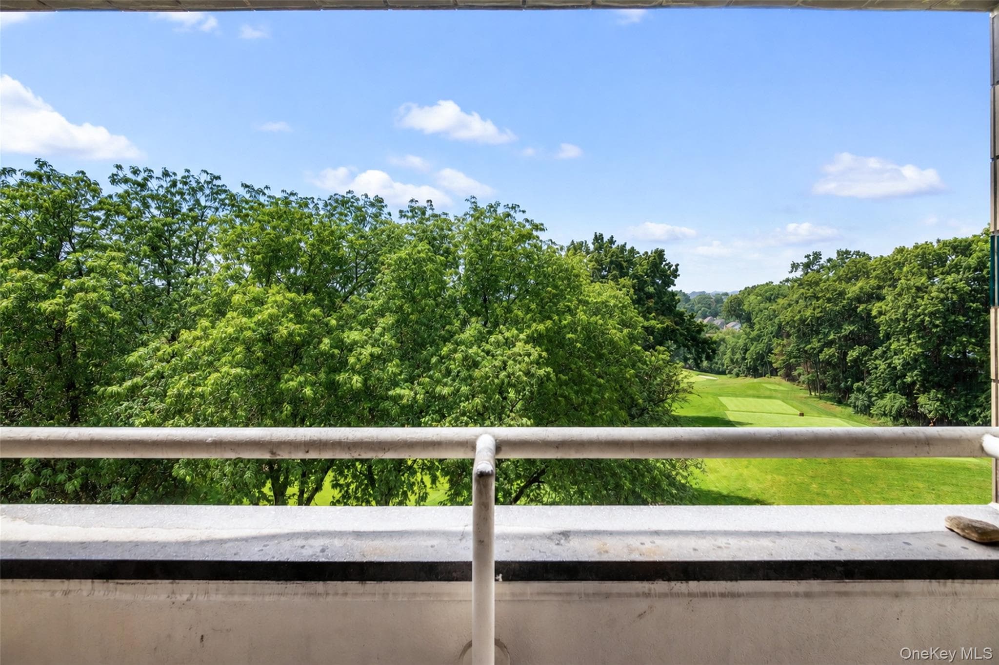 701 Pelham Road Unit: 5L thumbnail 5