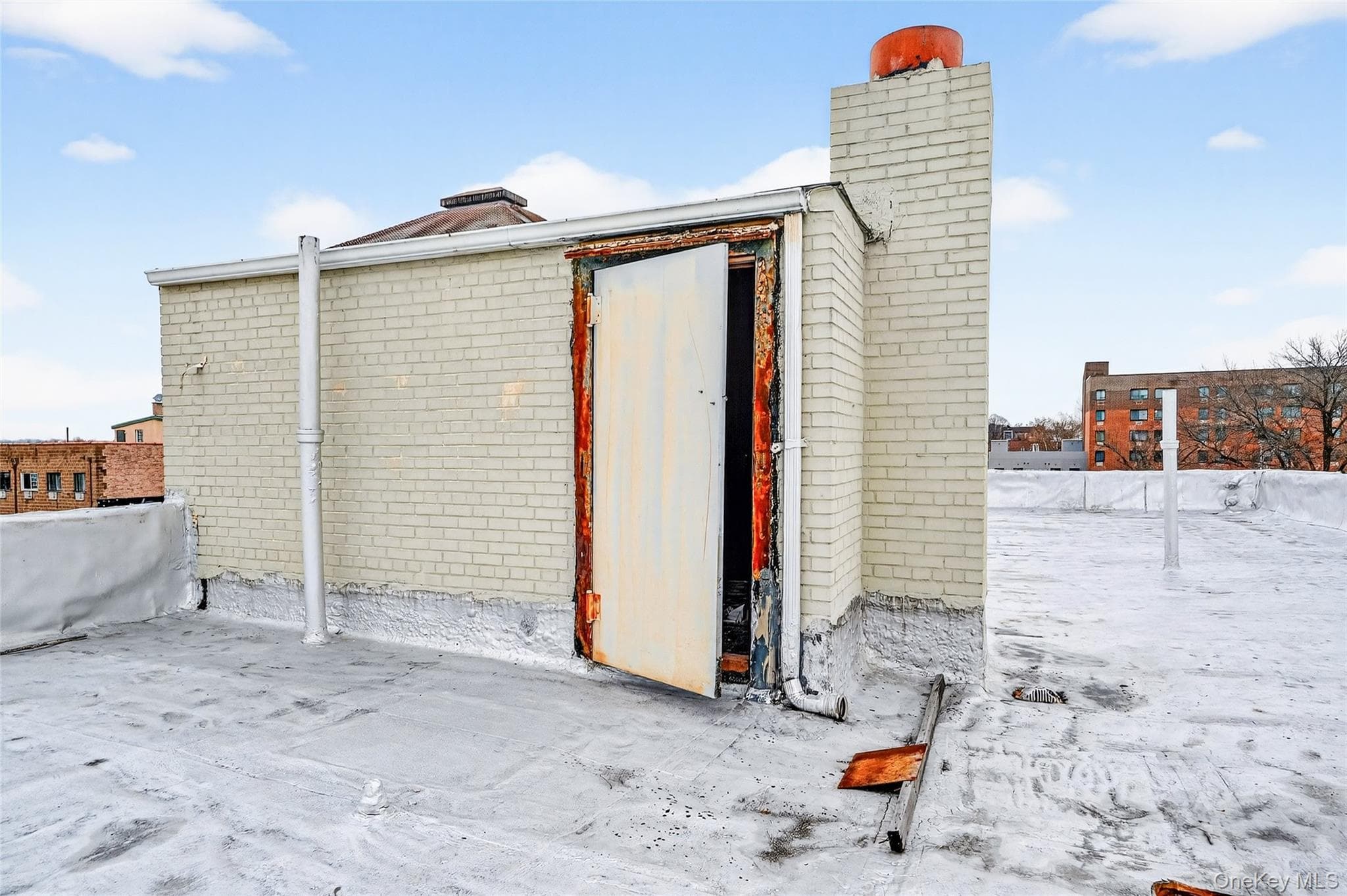 759 E 221st Street thumbnail 36