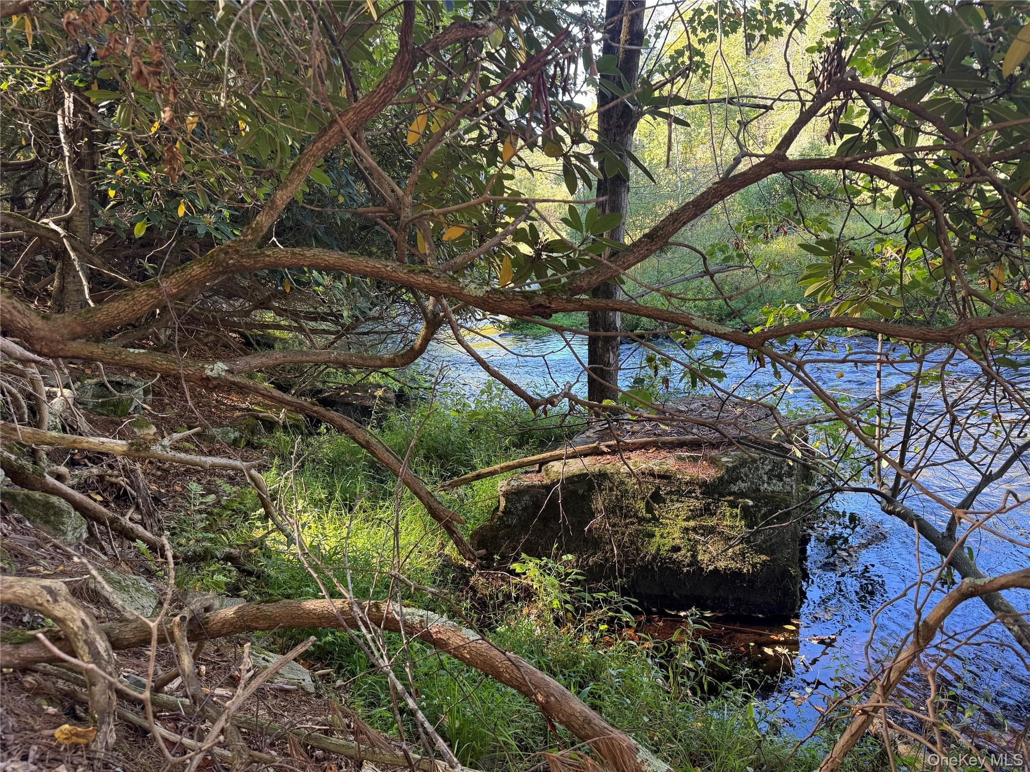 lot 1 Chapin Trail thumbnail 23