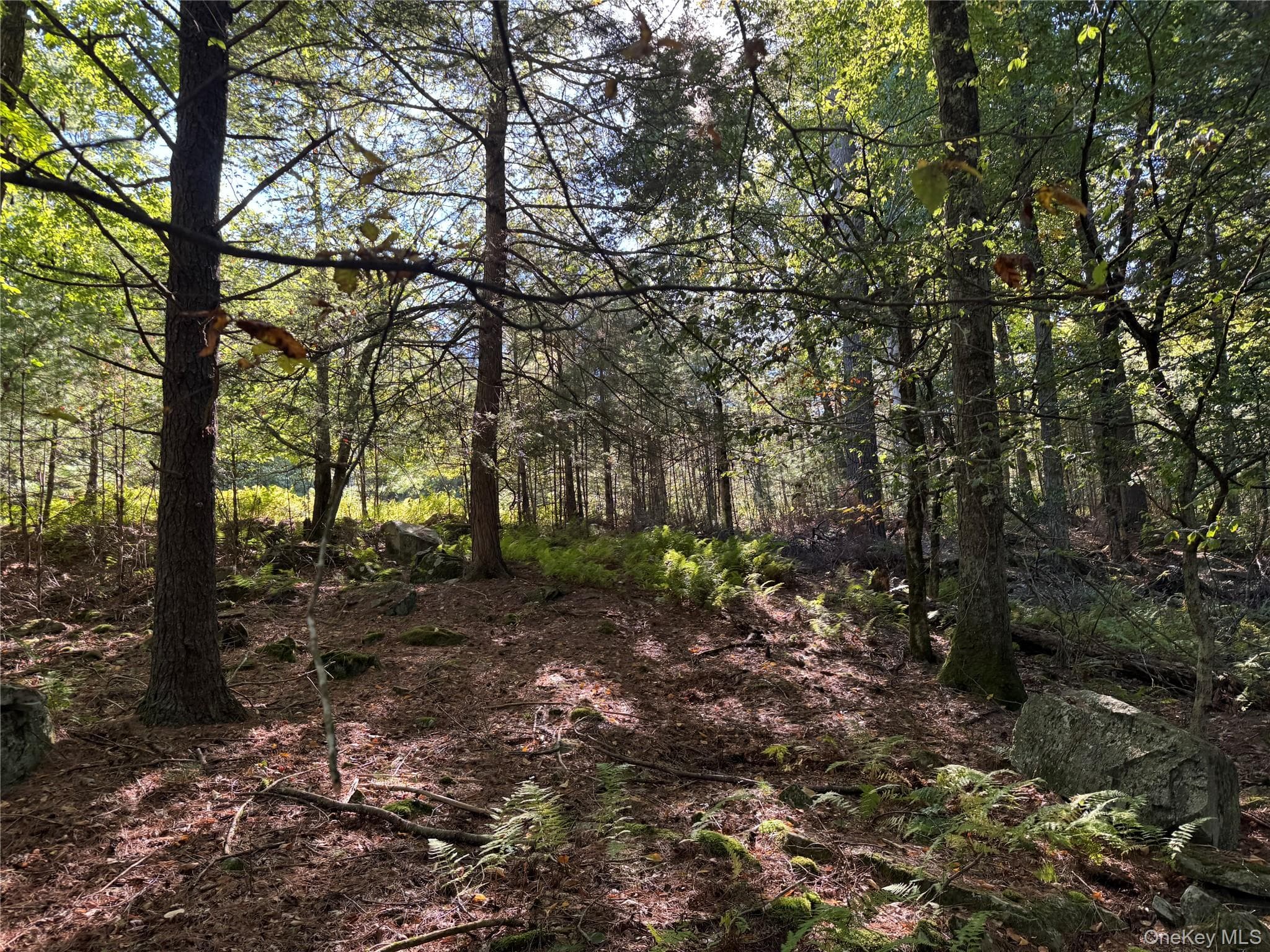 lot 1 Chapin Trail thumbnail 8