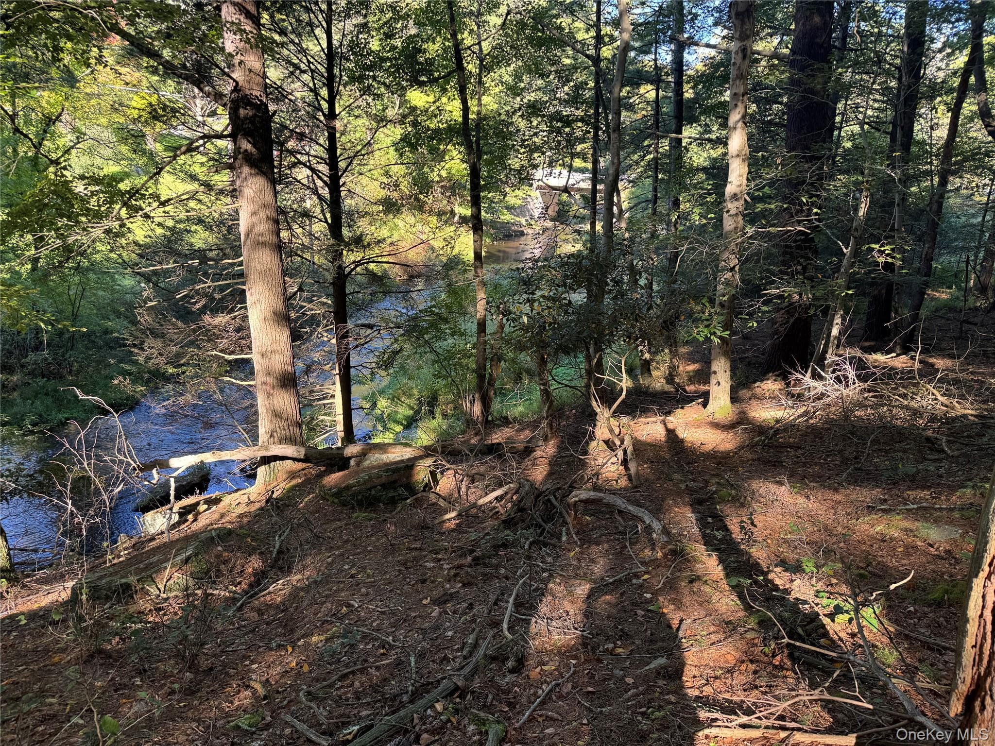 lot 1 Chapin Trail thumbnail 19
