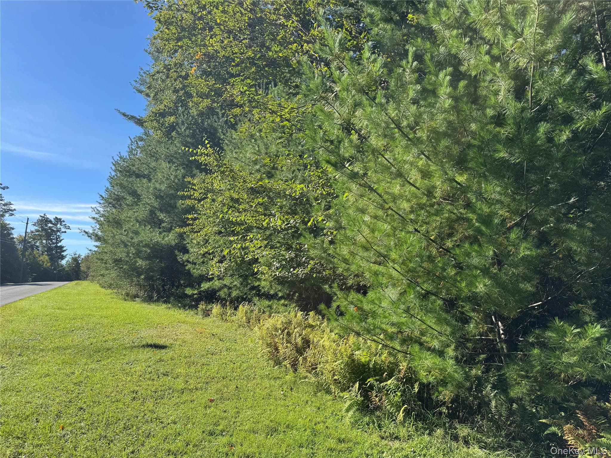 lot 1 Chapin Trail, Bethel