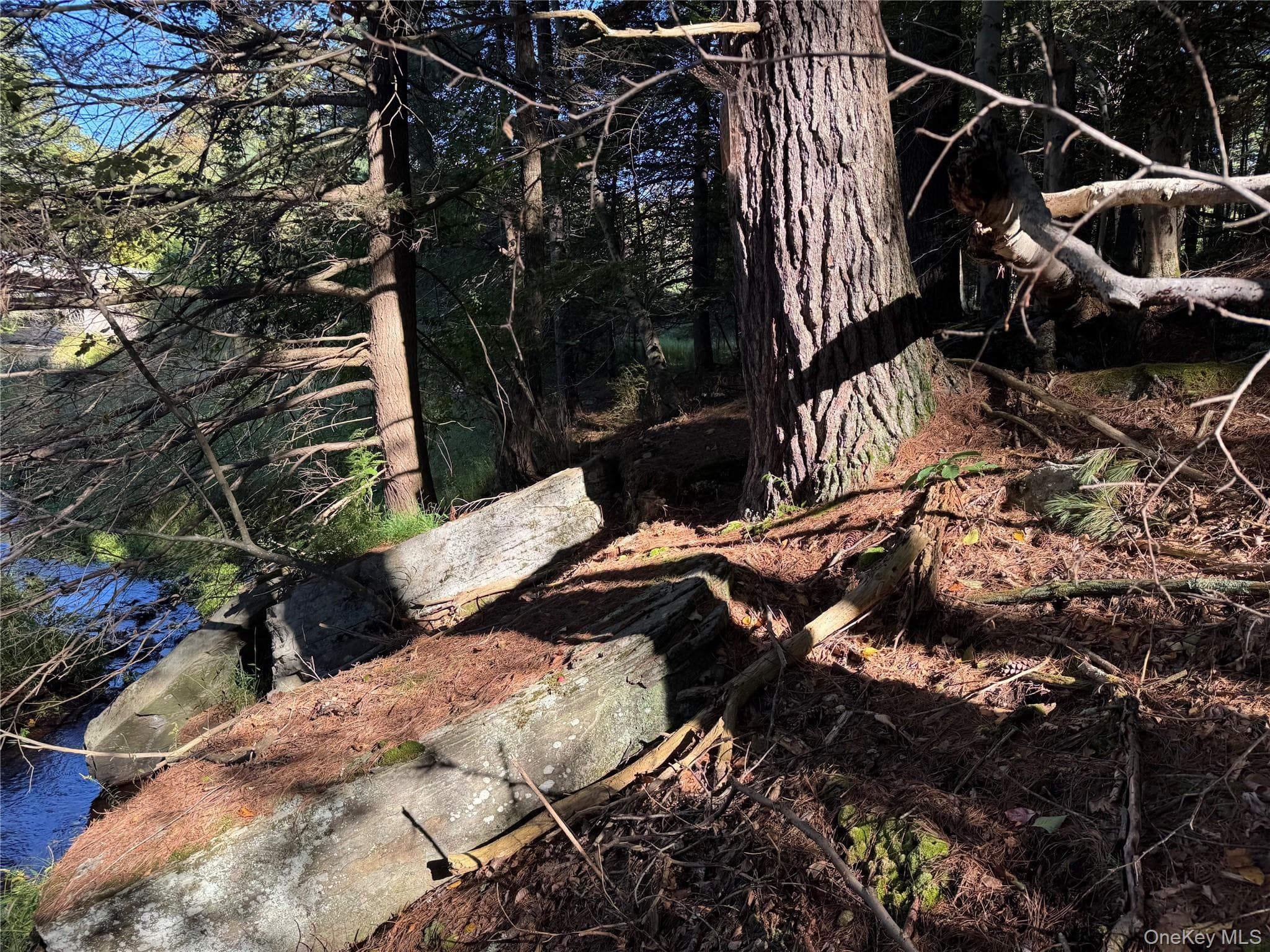 lot 1 Chapin Trail thumbnail 22