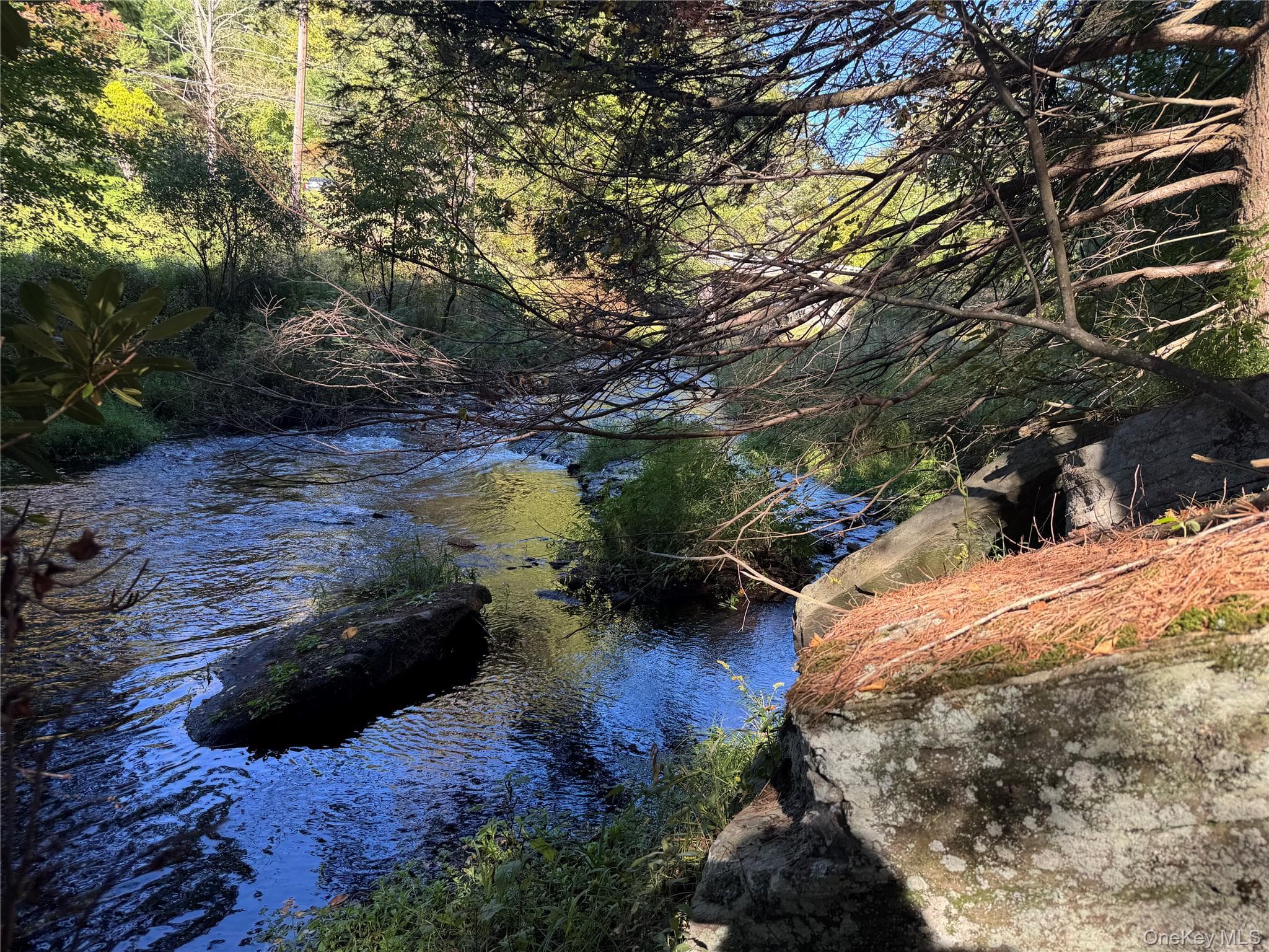 lot 1 Chapin Trail thumbnail 24
