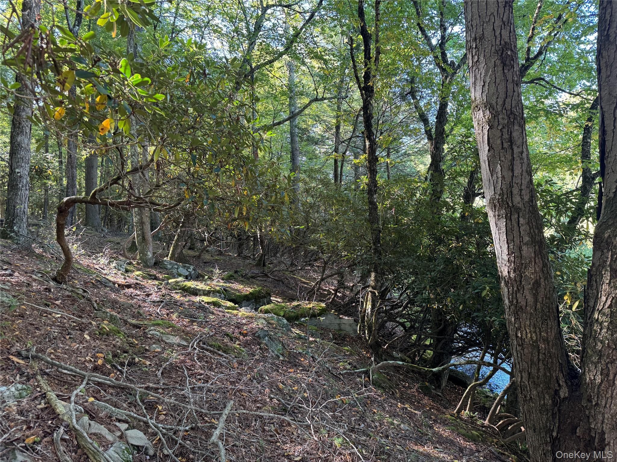 lot 1 Chapin Trail thumbnail 21