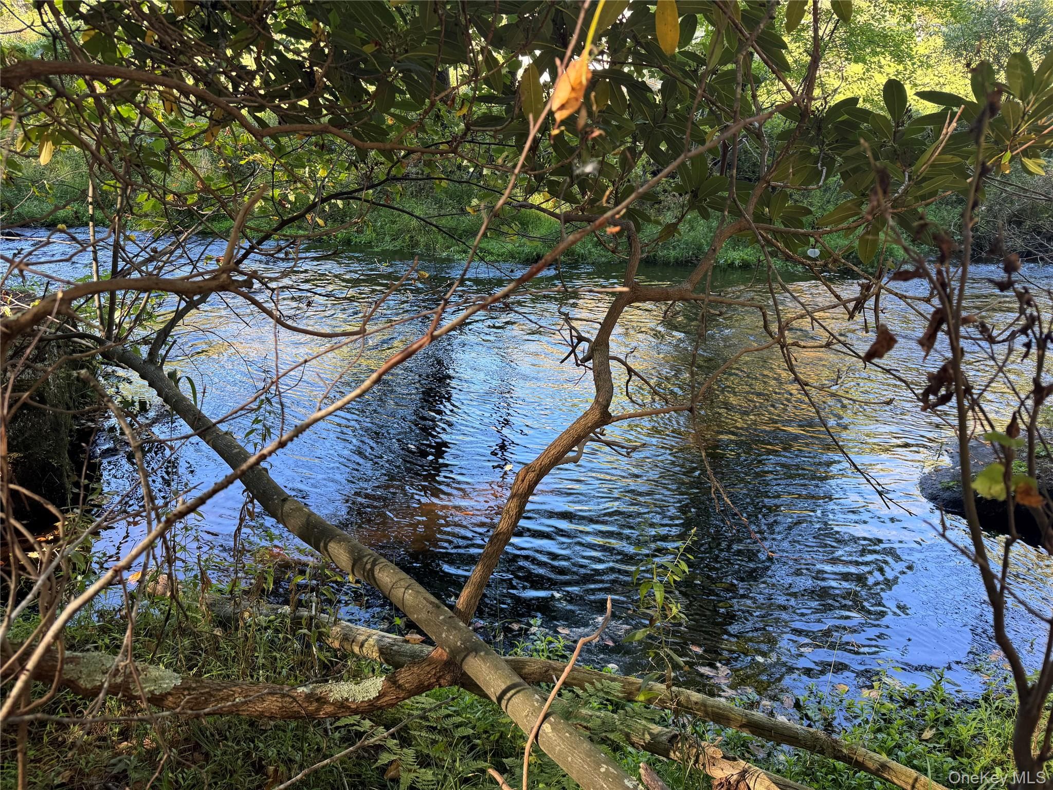 lot 1 Chapin Trail thumbnail 25