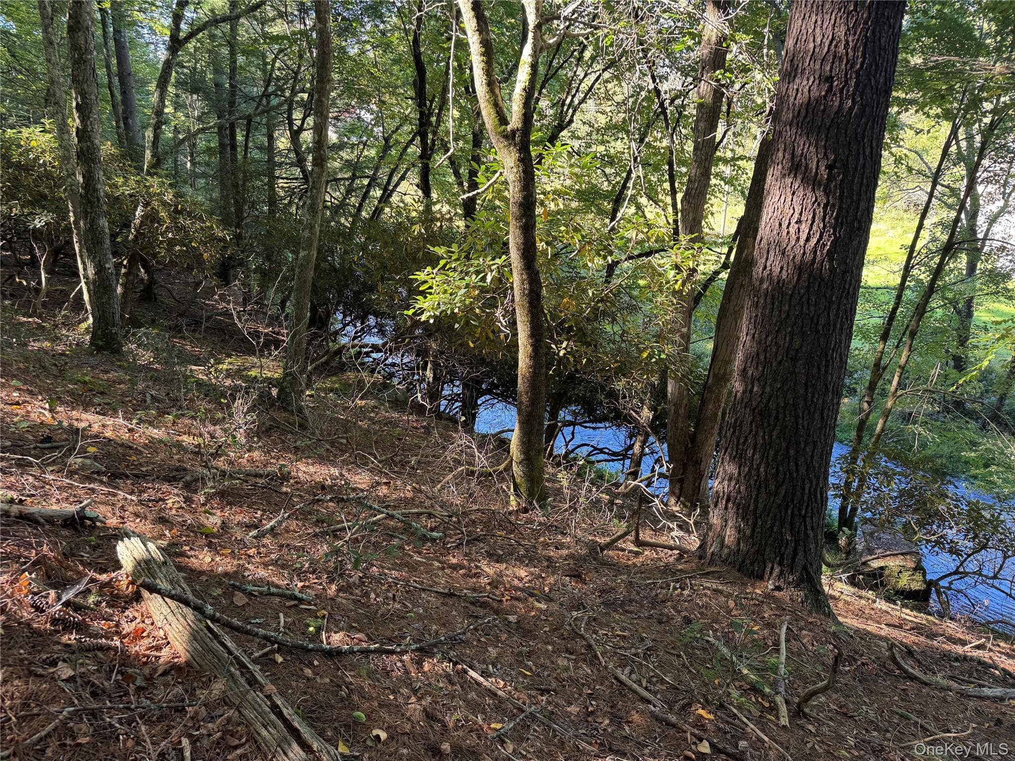 lot 1 Chapin Trail thumbnail 3