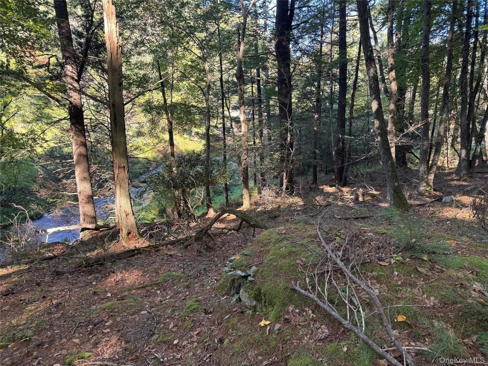 lot 1 Chapin Trail thumbnail 18