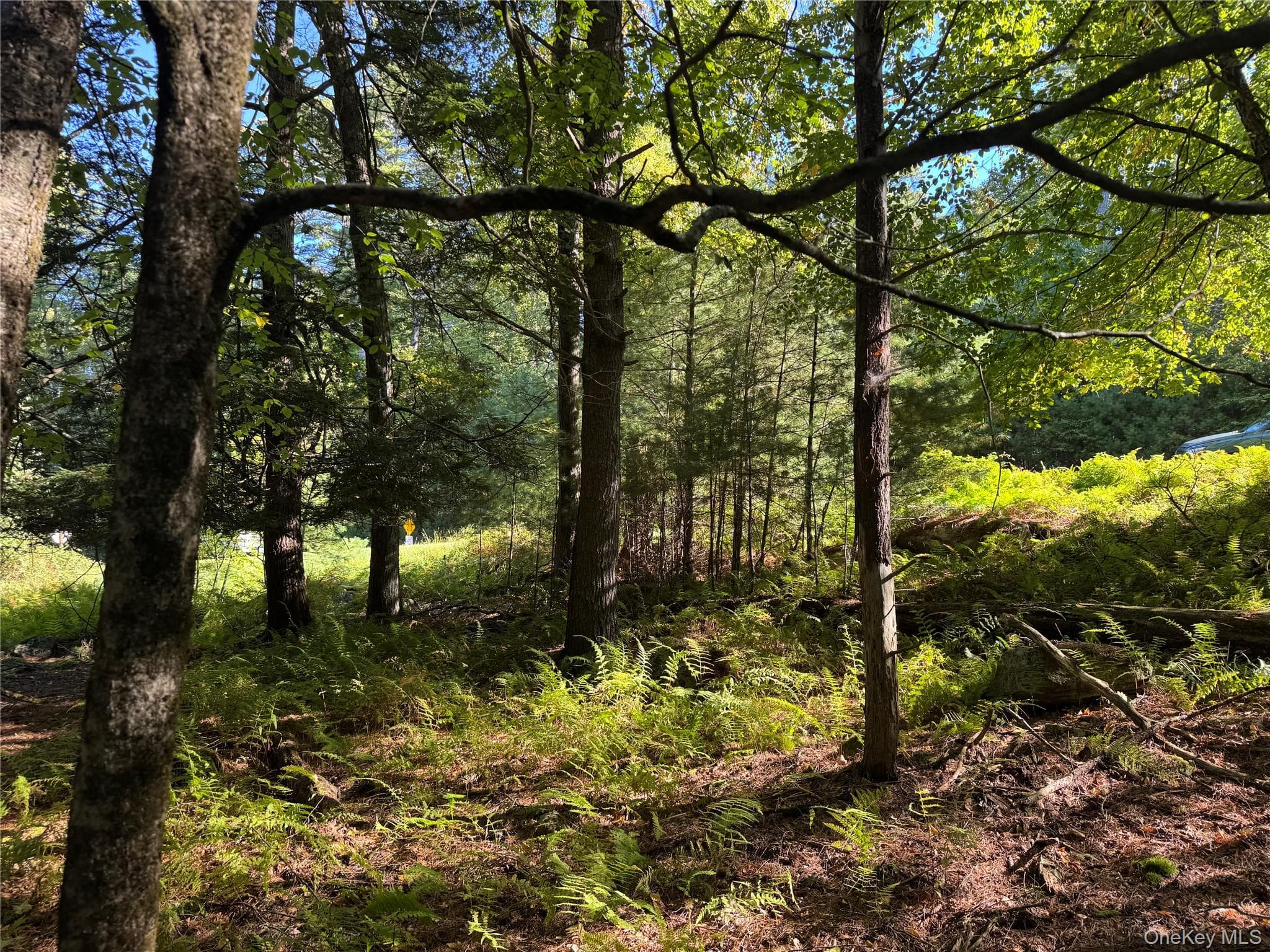 lot 1 Chapin Trail thumbnail 9