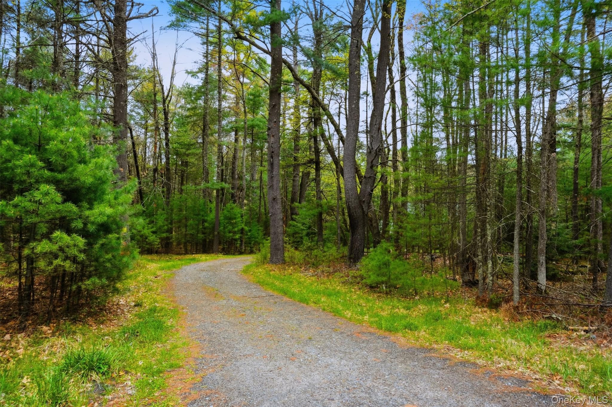 924 Forestburgh Road thumbnail 45