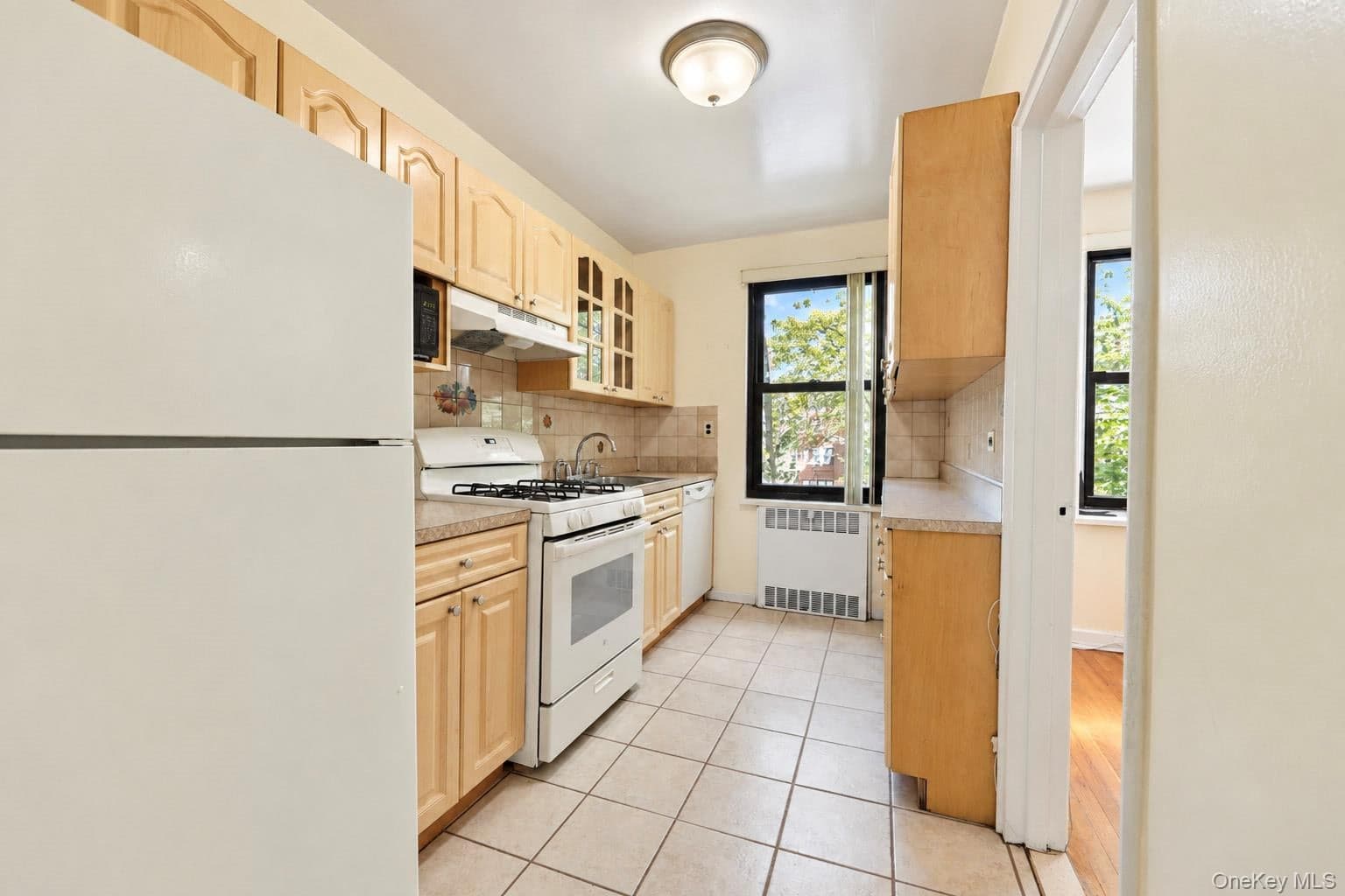151 E Hartsdale Avenue Unit: 2B thumbnail 13