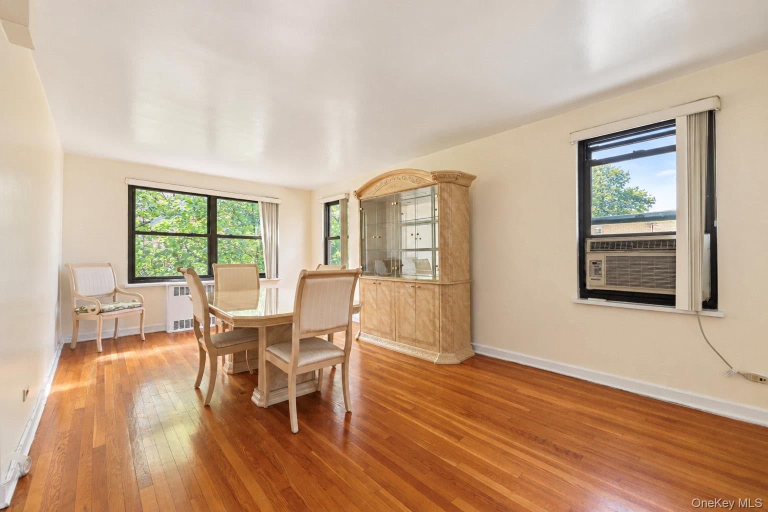 151 E Hartsdale Avenue Unit: 2B thumbnail 9
