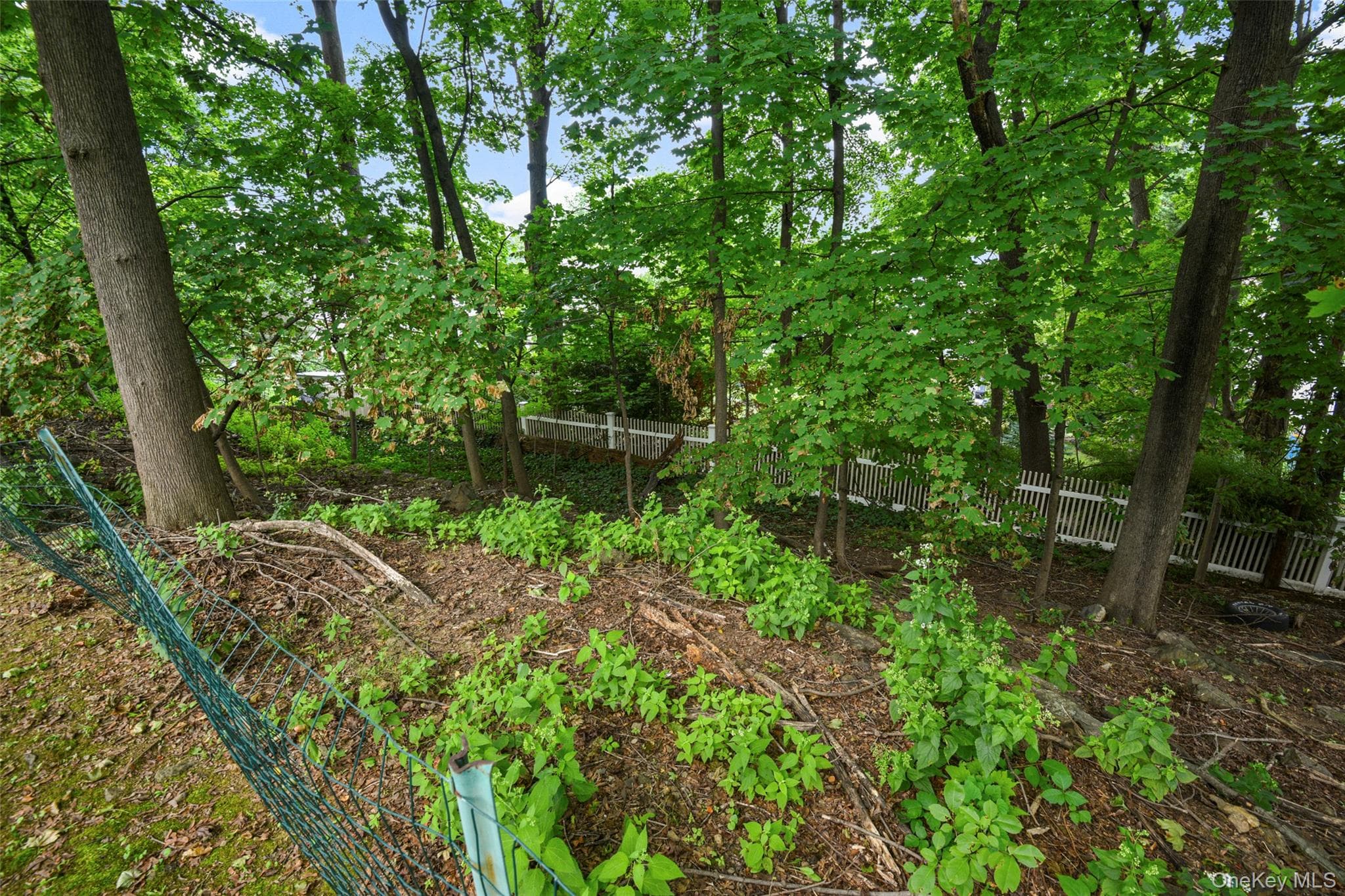 4 Ridgeview Avenue thumbnail 37