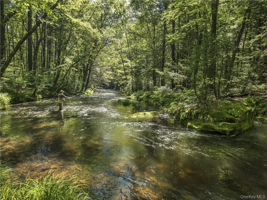 TBD Chapin Trail thumbnail 13