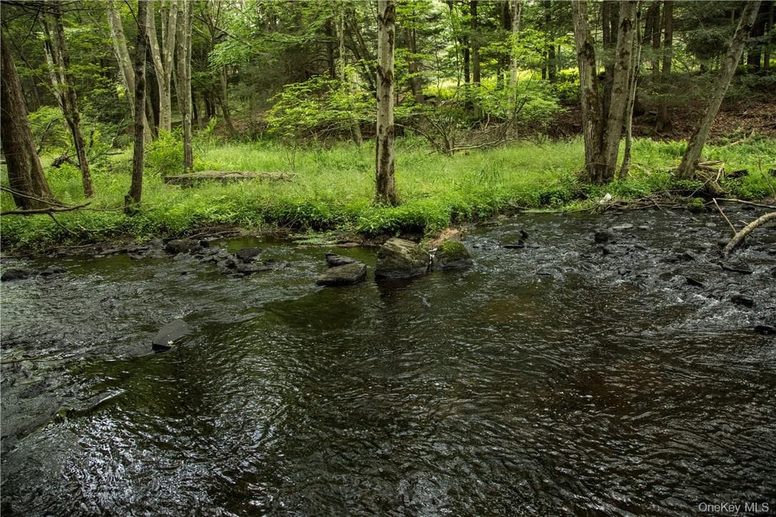 TBD Chapin Trail thumbnail 3