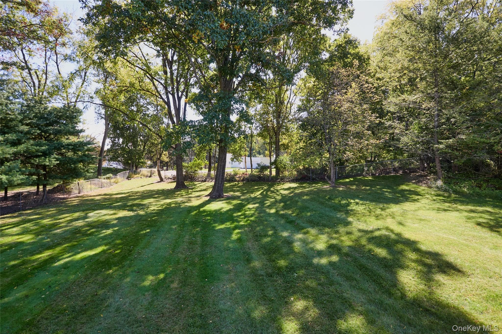 45 Thornwood Drive thumbnail 6